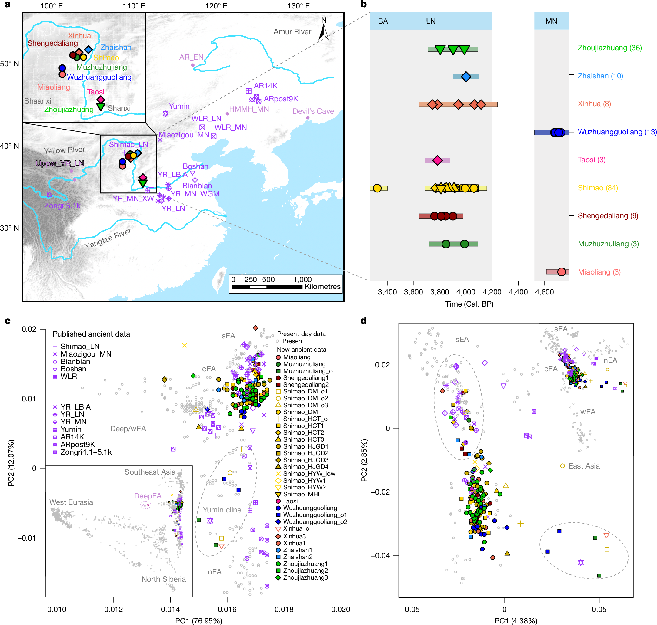Ancient DNA from Shimao city records kinship practices in Neolithic China