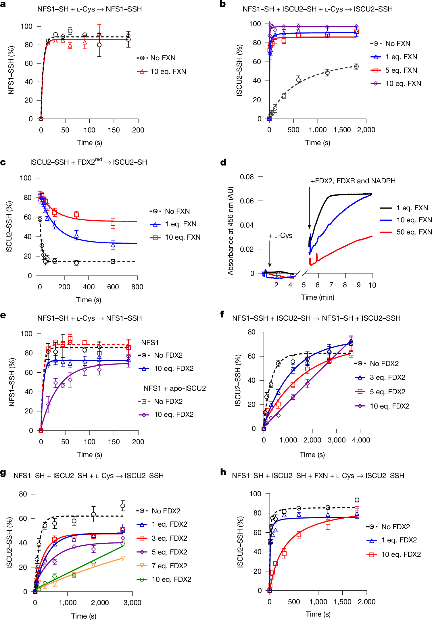 Fig. 3: Effects of FDX2 and FXN on persulfide generation, transfer and reduction.
