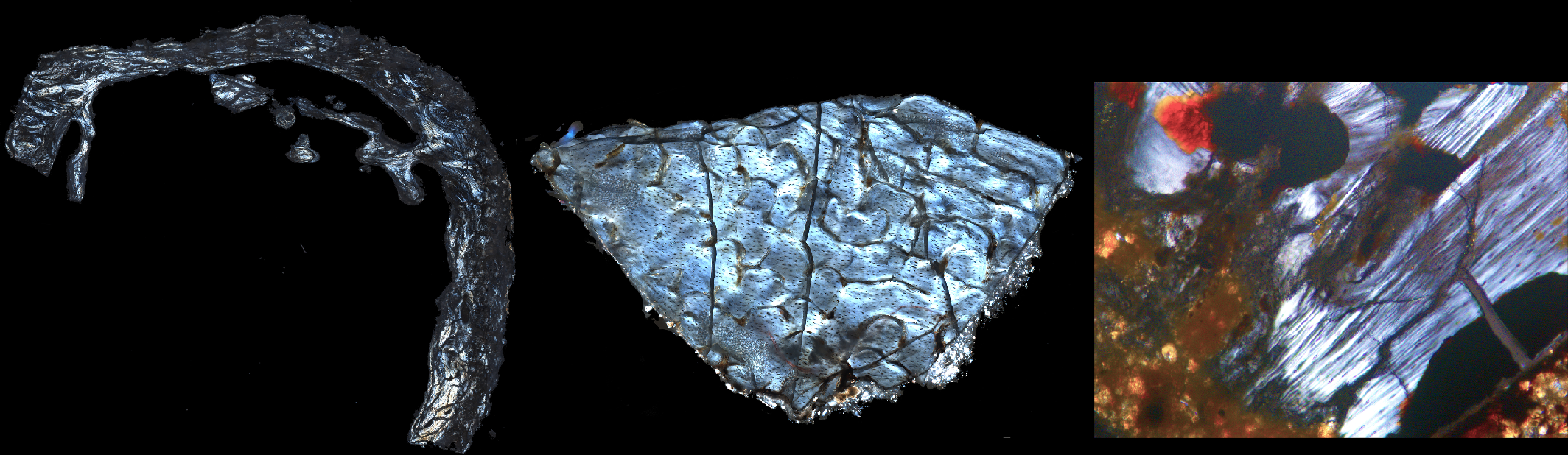 Palaeometabolomes yield biological and ecological profiles at early human sites