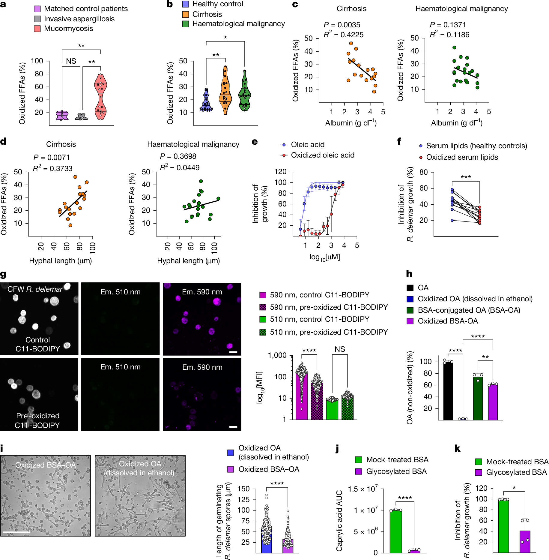 Fig. 3: Albumin protects FFAs from oxidation and preserves their antifungal activity against Mucorales.