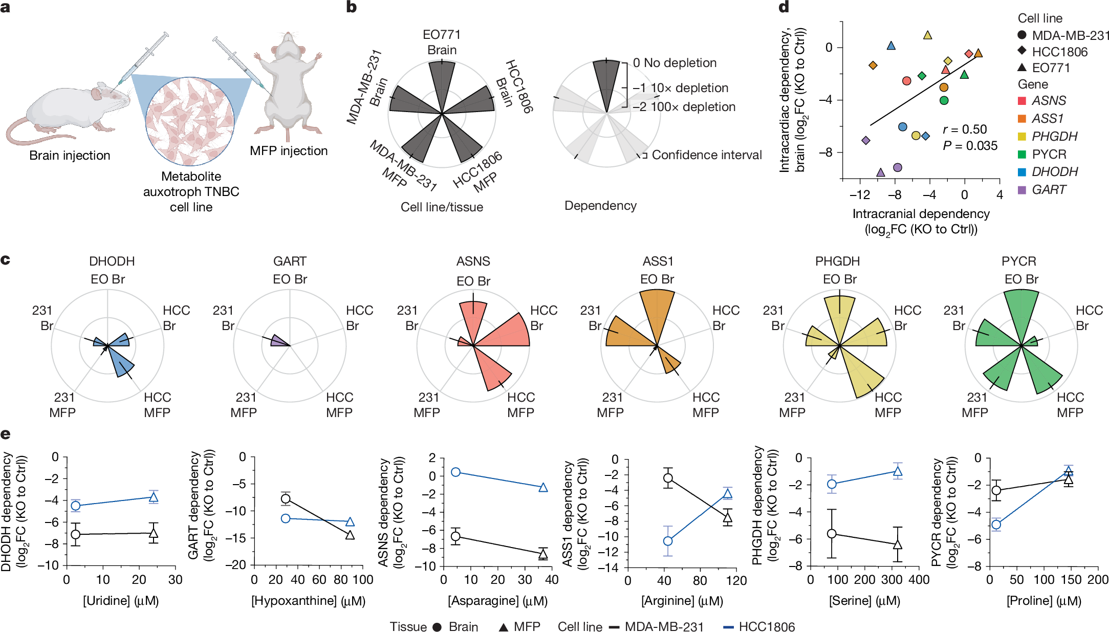 Fig. 3: Metabolic dependencies of brain and MFP tumours.