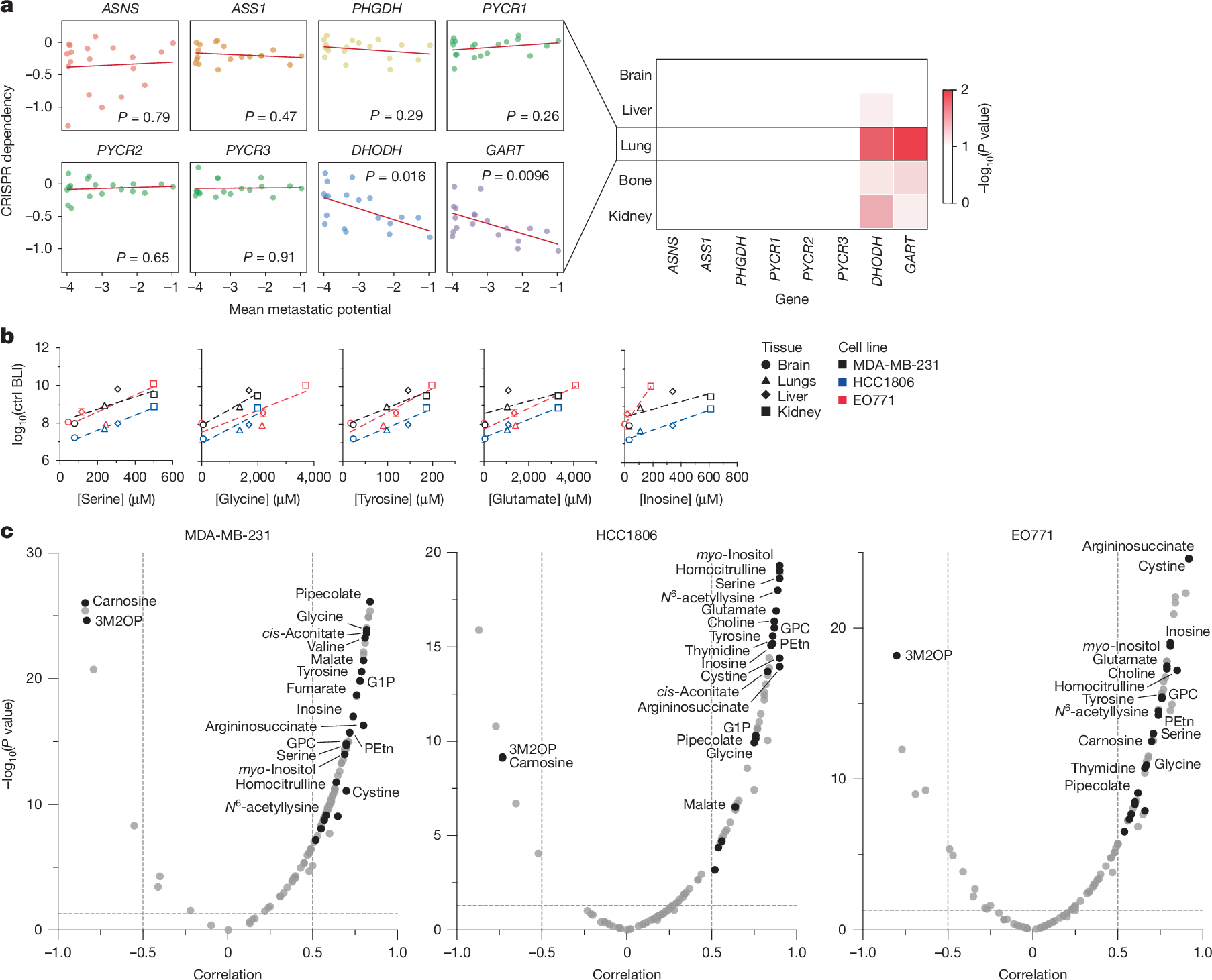 Fig. 5: Correlating metabolic dependencies and metabolite levels with tissue-specific metastatic potential.