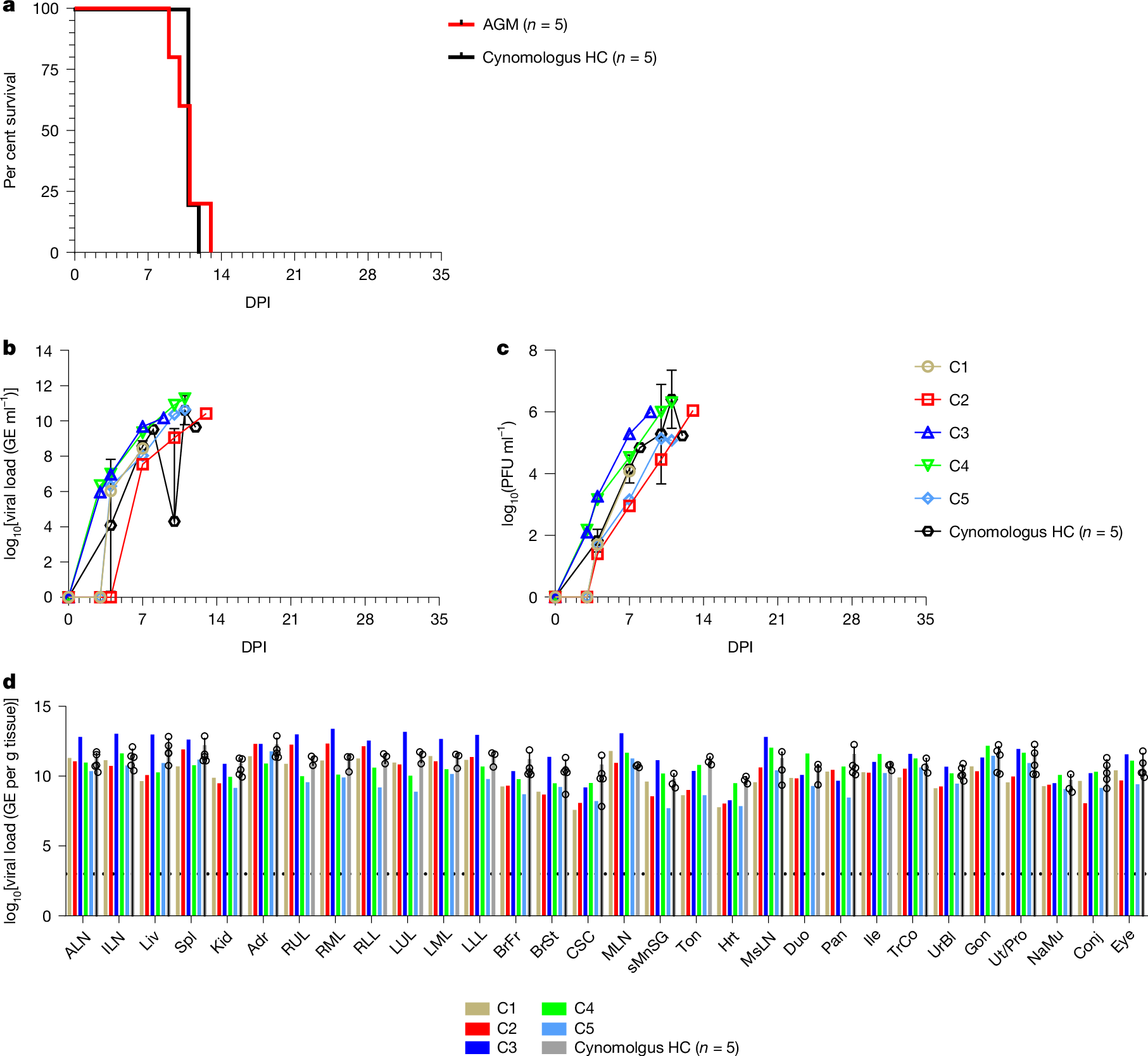 Fig. 1: Survival analysis and circulating viral burden of AGMs challenged with LASV Togo.
