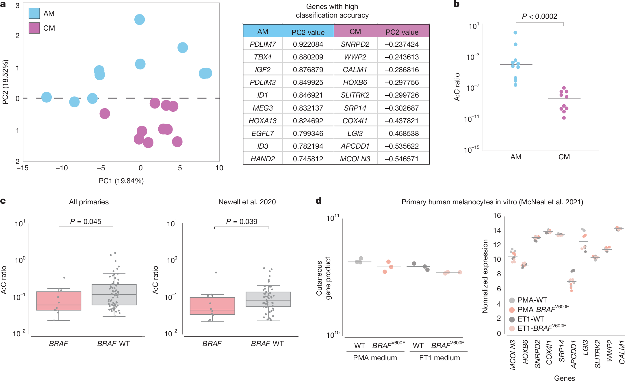 Fig. 3: Comparisons of the transcriptional profile of BRAF-activating and BRAF-wild-type acral melanoma tumours.