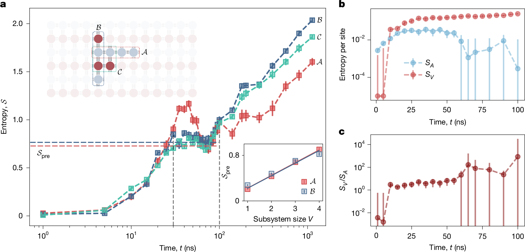 Fig. 4: Entanglement dynamics and volume-law scaling.