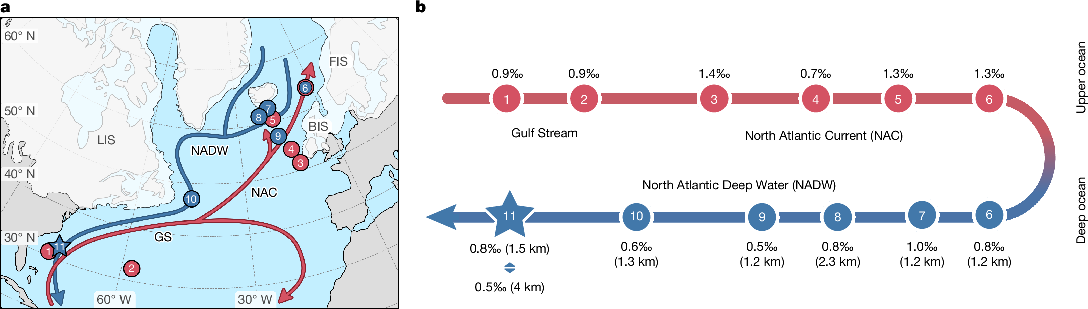 Fig. 5: High δ18Osw-ivc signature reconstructed at multiple sites in the North Atlantic reveals the upstream pathway of glacial Northwest Atlantic deep waters.