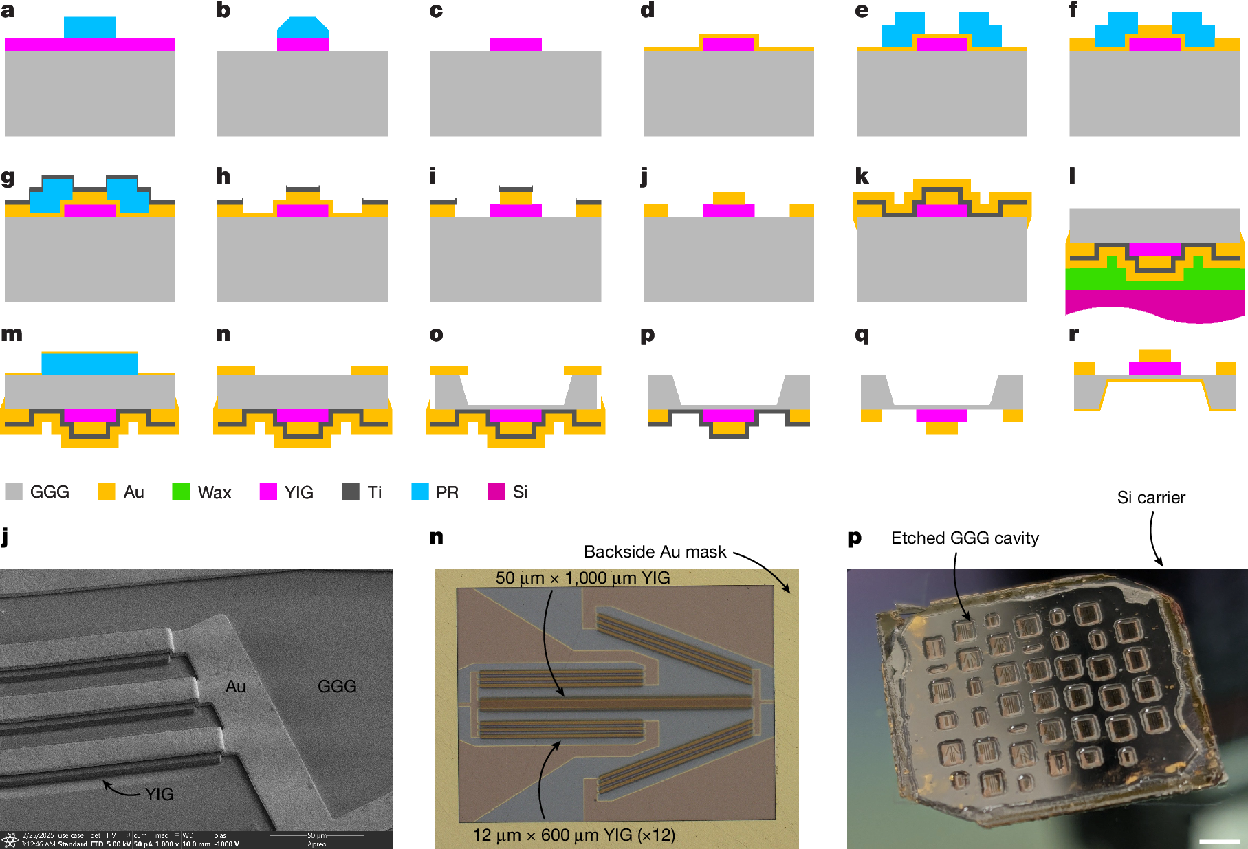 Magnonic Circuits: When Microwaves Travel Through Magnets