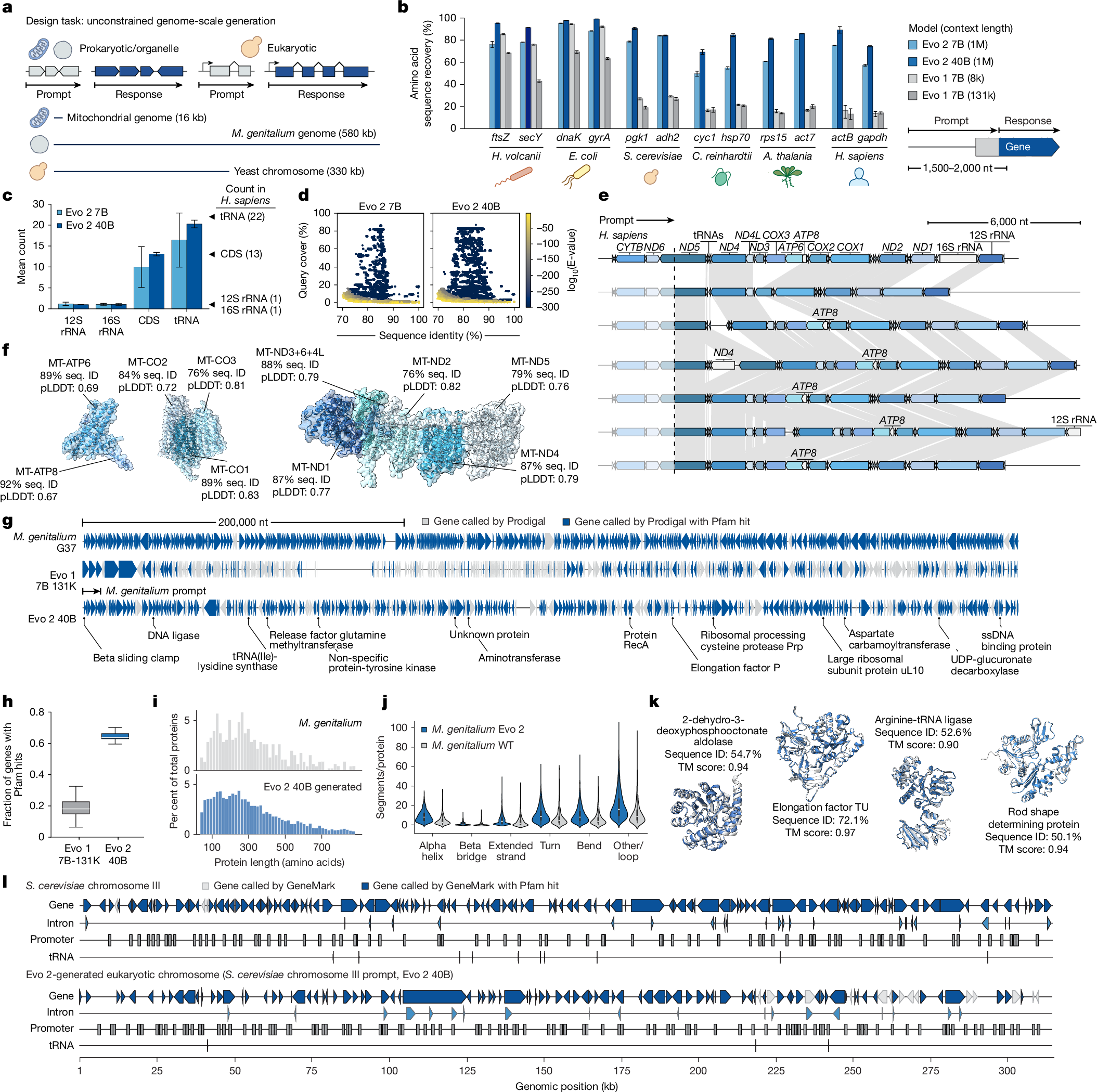 Fig. 5: Genome-scale generation across the domains of life.