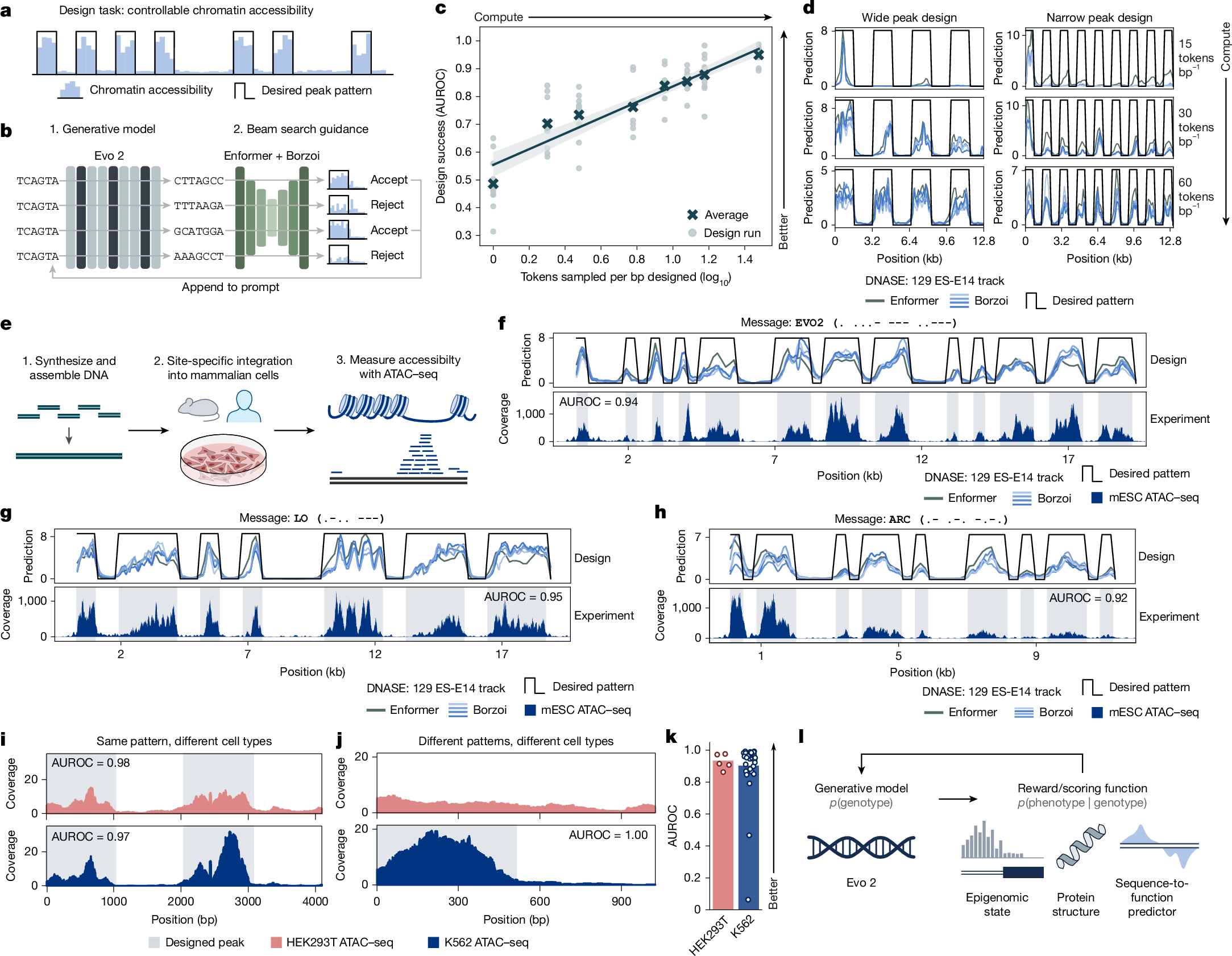 Fig. 6: Generative chromatin accessibility via inference-time guidance.