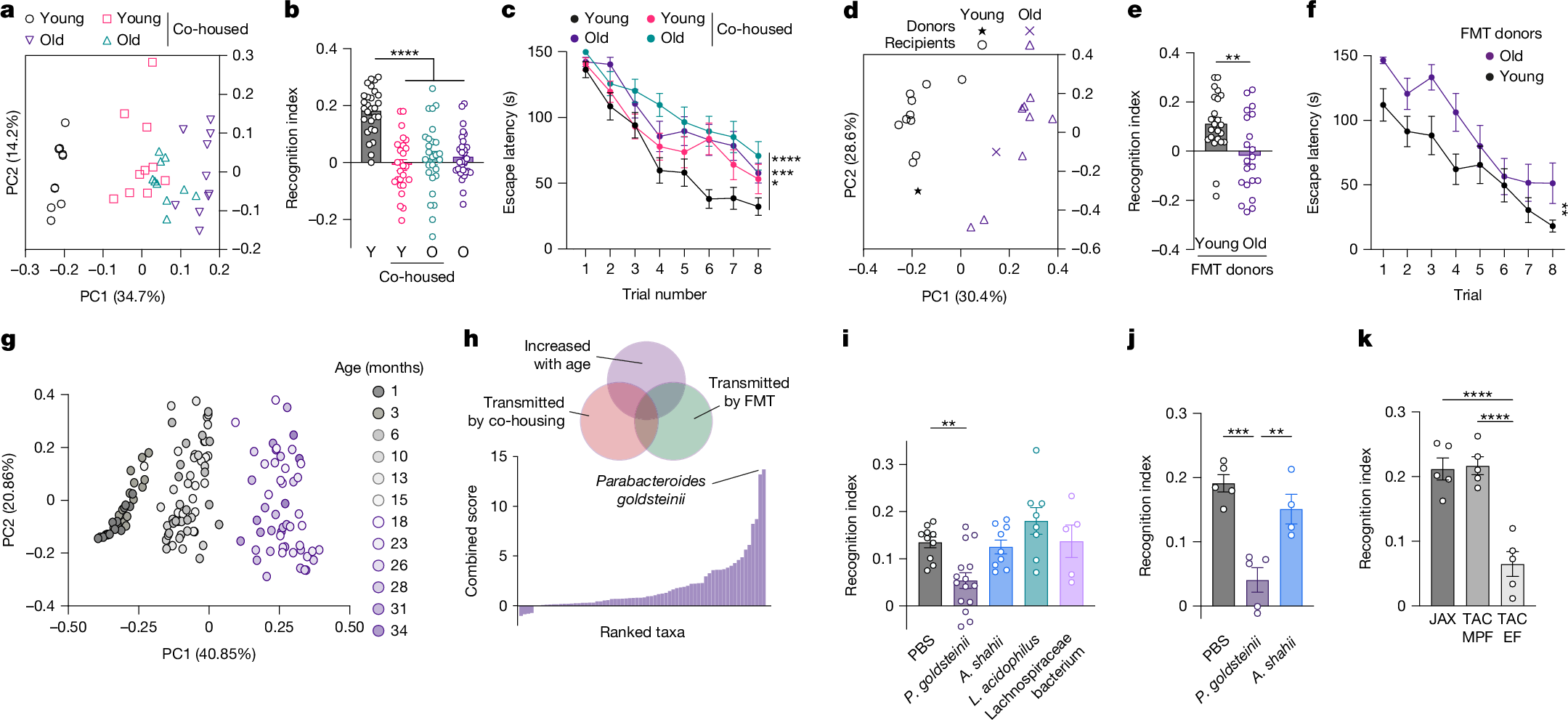 腸内細菌と記憶低下の関連をマウスで解明（Gut bacteria changes linked to memory decline in aging mice）