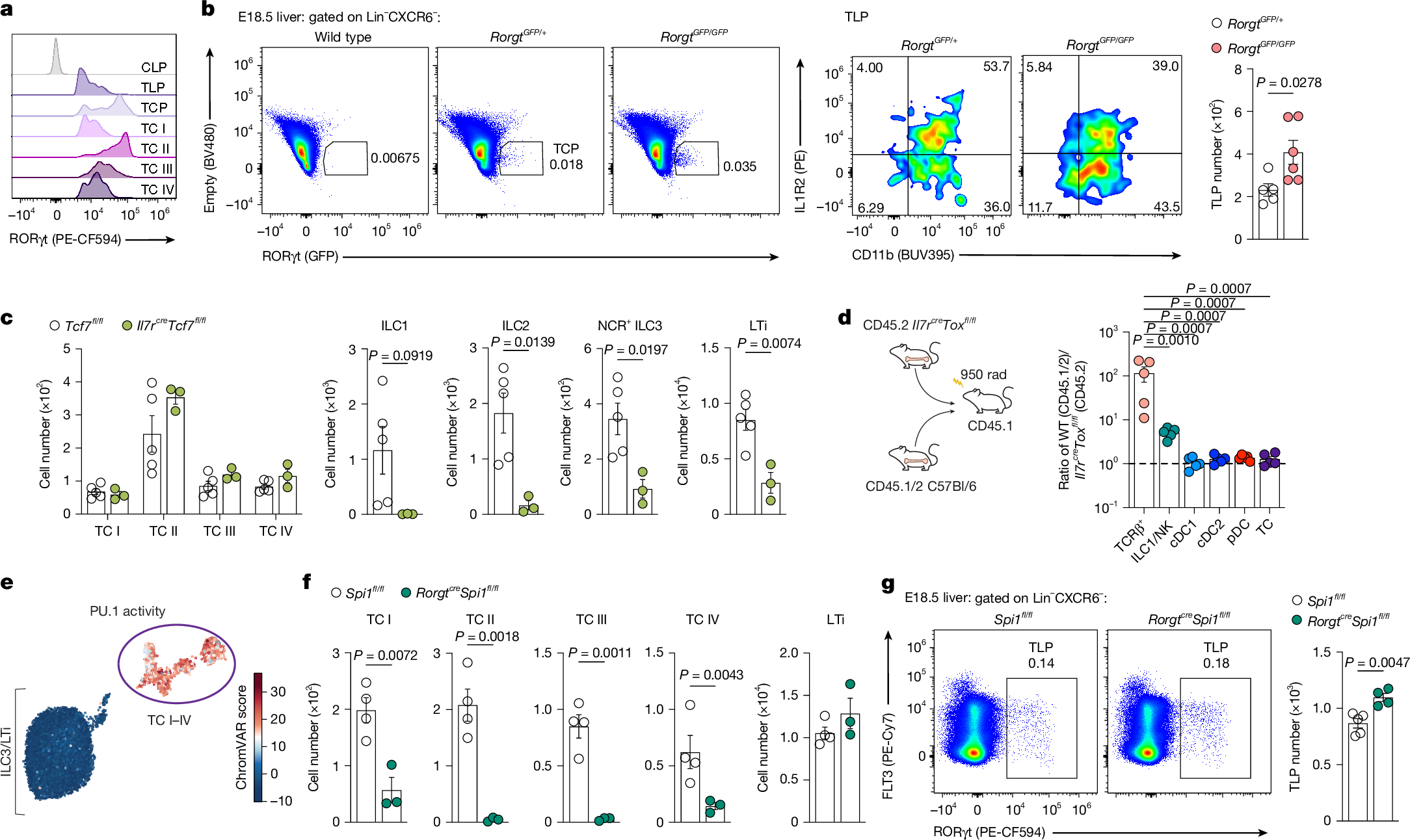 Fig. 4: PU.1 is required for TC I–IV differentiation.