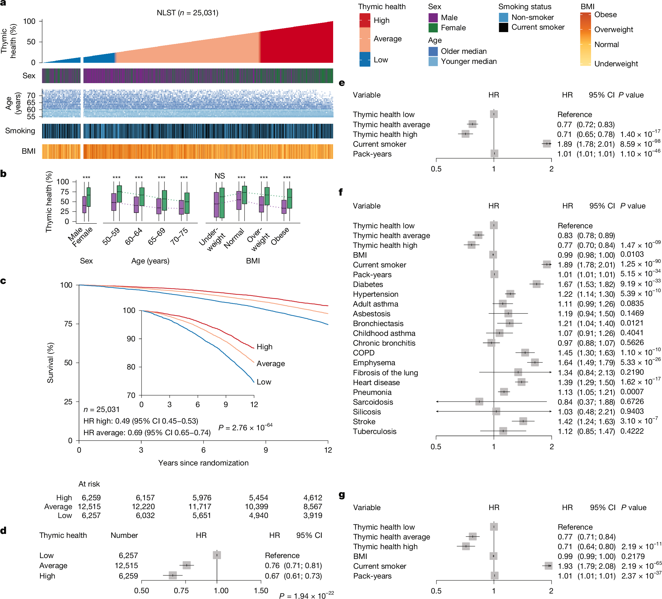 Fig. 2: Association of thymic health with long-term mortality.
