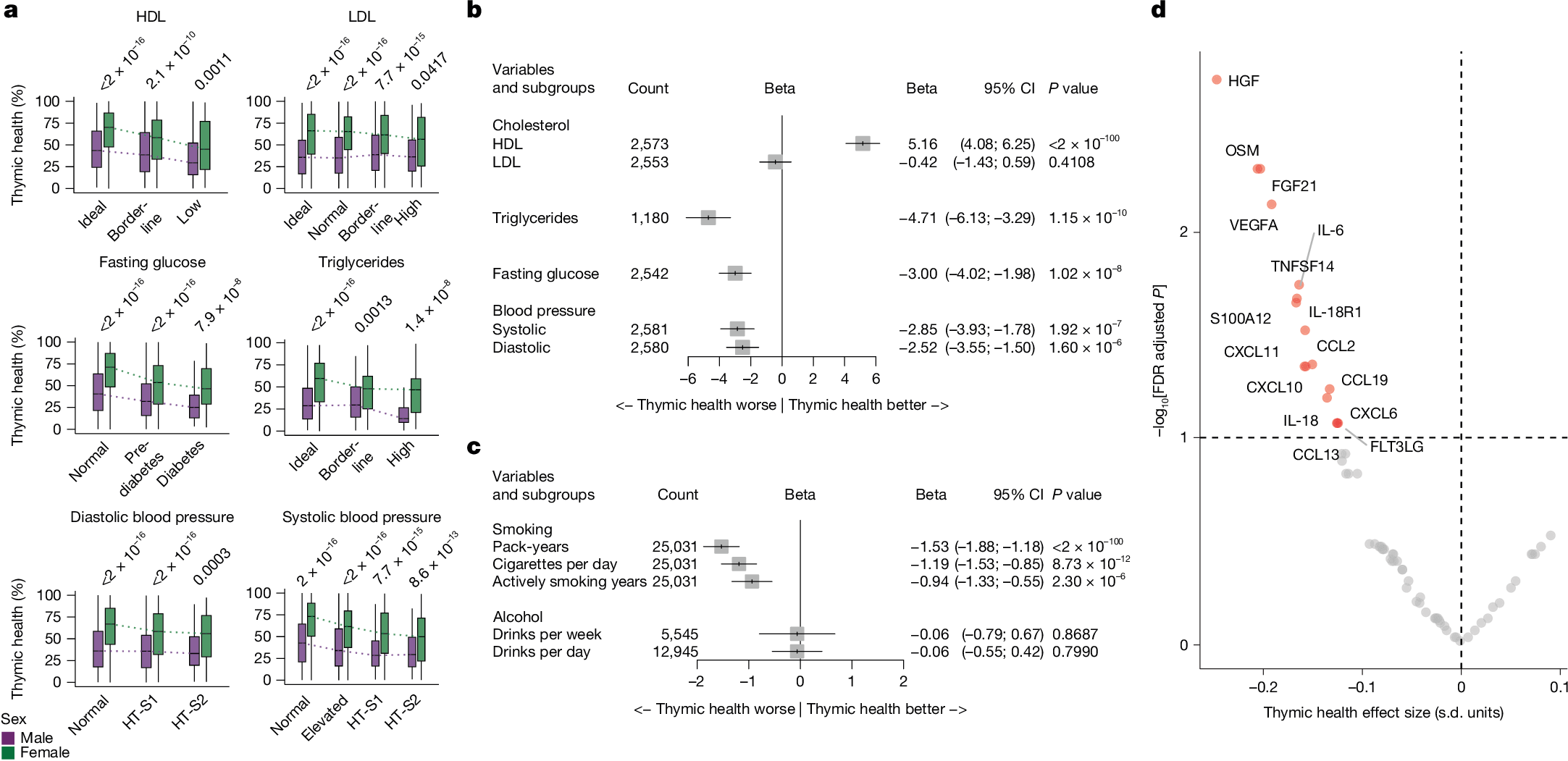 Fig. 5: Associations of thymic health with metabolism, lifestyle and inflammation in the FHS.
