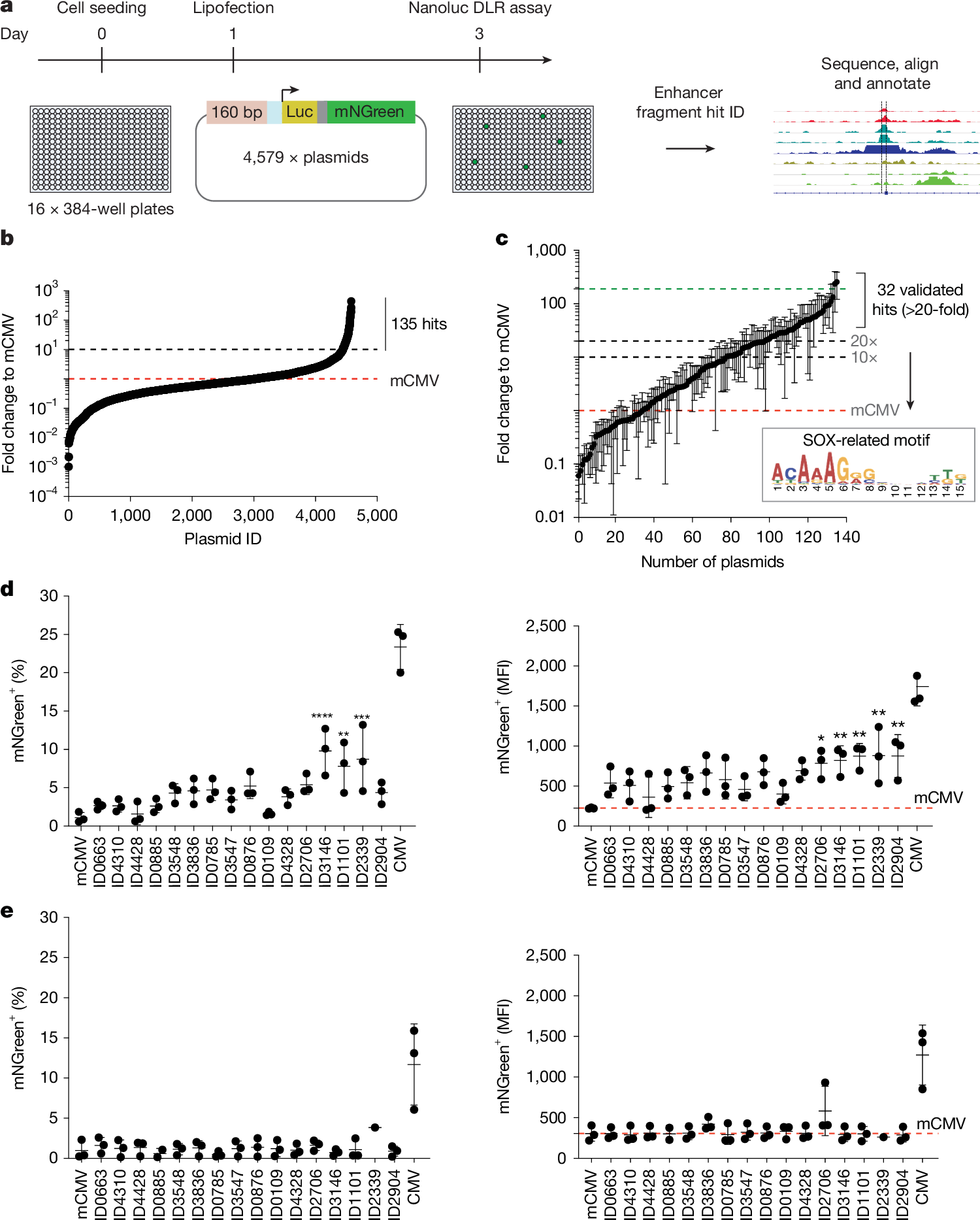 遺伝子治療によりマウスの脳腫瘍を安全に除去（Gene therapy safely eradicates brain tumours in mice）