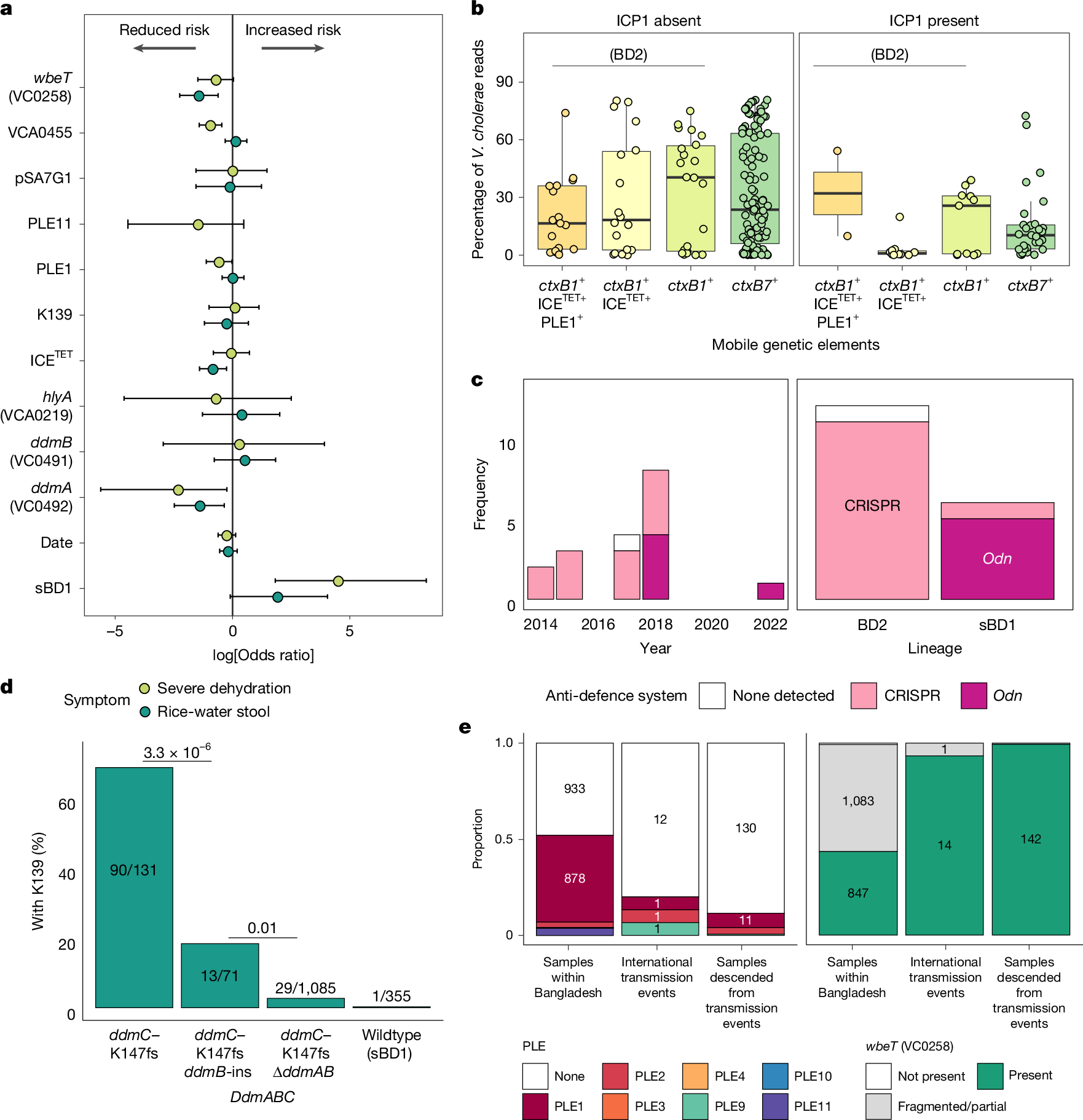 Fig. 3: Relationships between V. cholerae genetic changes and phenotype.