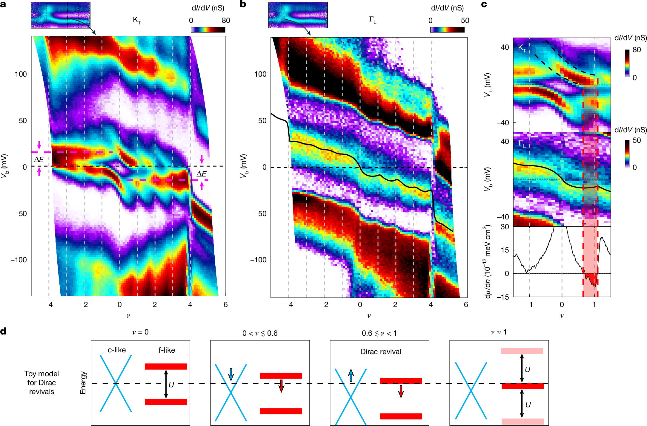 Quantum-twisting microscopy electronic excitation and correlated electron momentum signatures in graphene