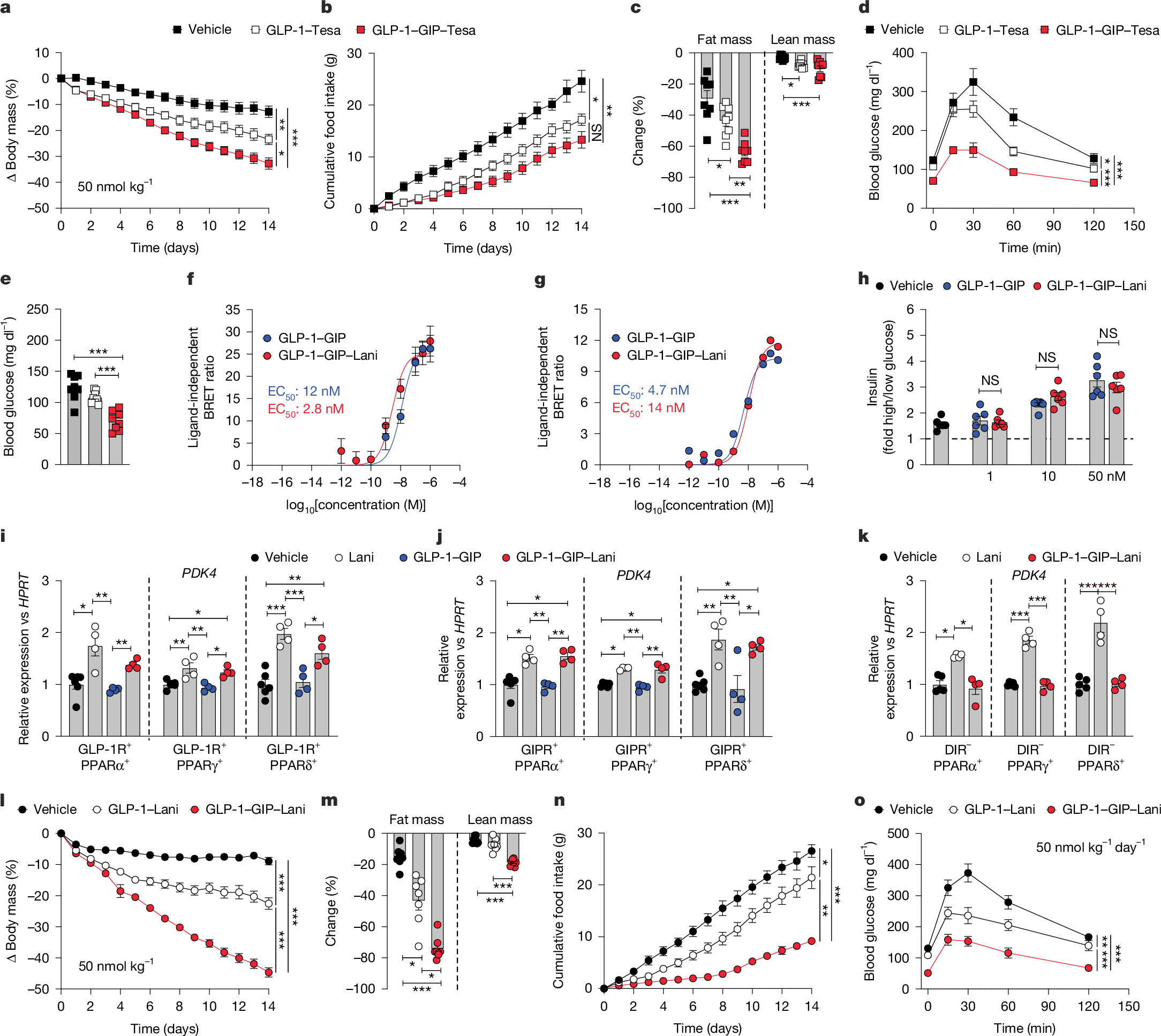 1分子で2つの効果を持つ肥満・2型糖尿病治療の新概念（One Molecule, Two Effects: A New Drug Concept to Treat Obesity and Type 2 Diabetes）