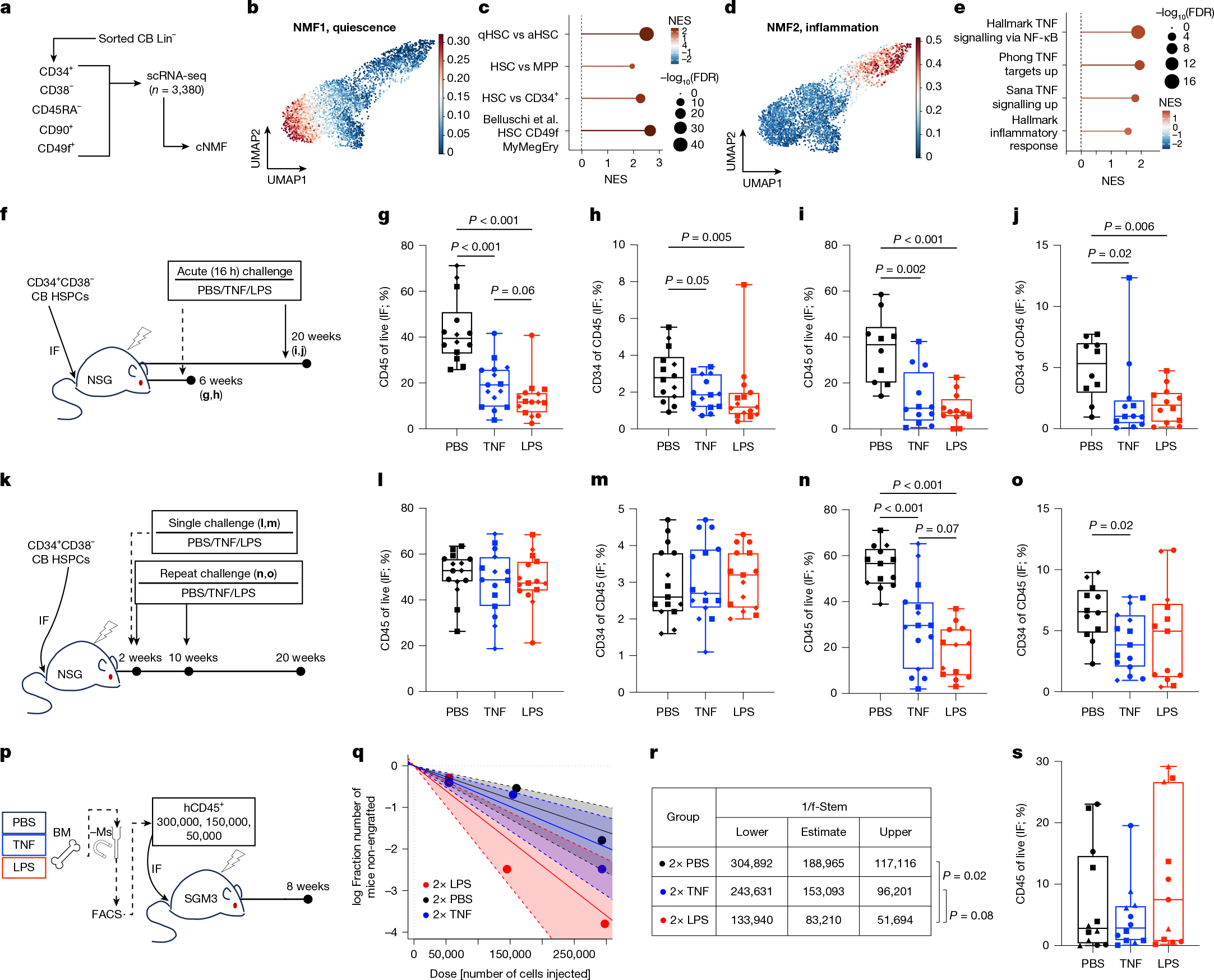 Fig. 1: Modelling inflammatory response and recovery in human LT-HSC.
