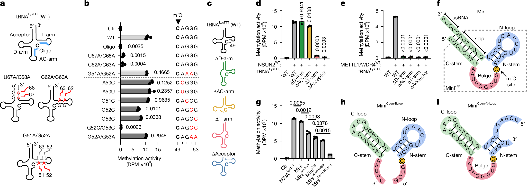 Fig. 5: Designing a miniature NSUN2 RNA substrate.