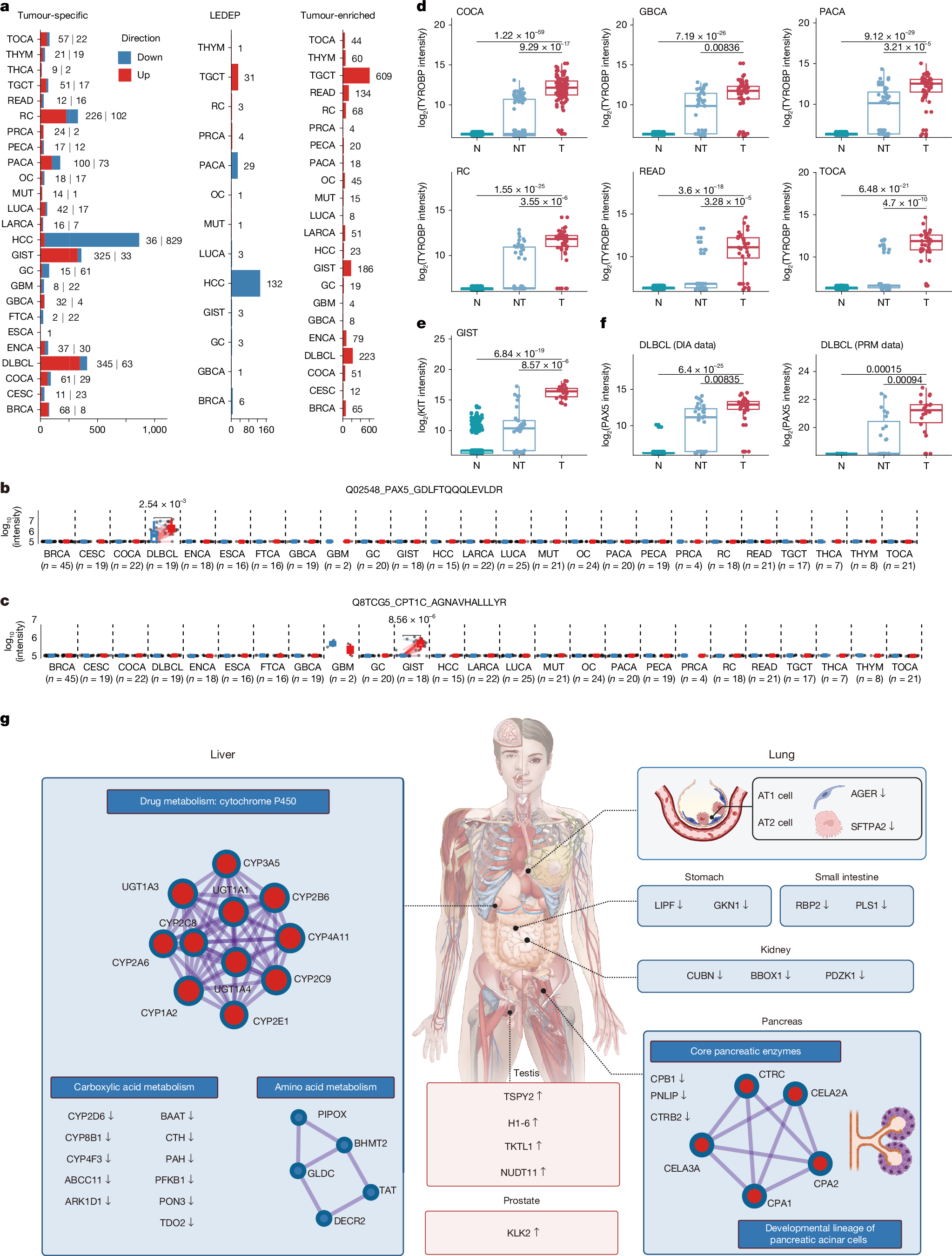 Fig. 1: Overview of the draft human proteome.