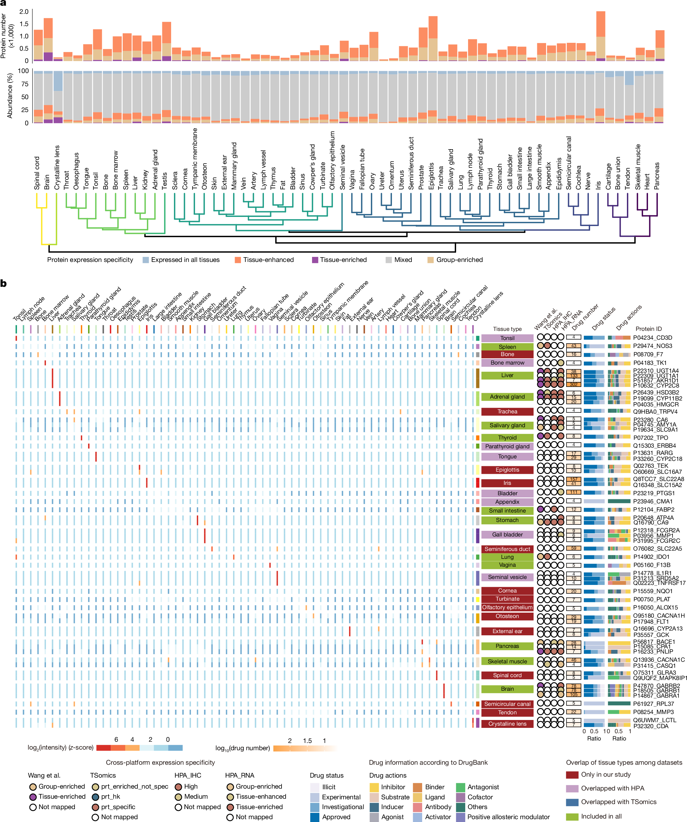 Fig. 3: Tissue specificity of protein and drug targets.