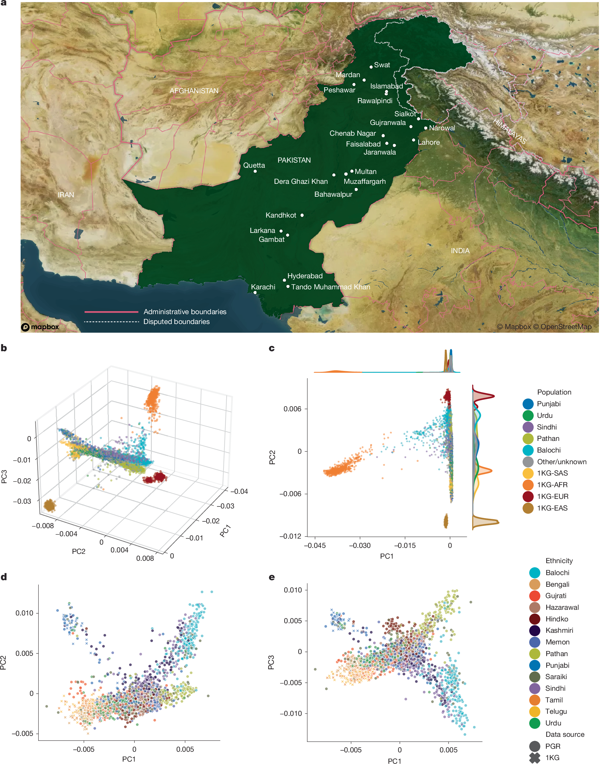 Fig. 1: PGR encompasses diverse ethnicities recruited across Pakistan.