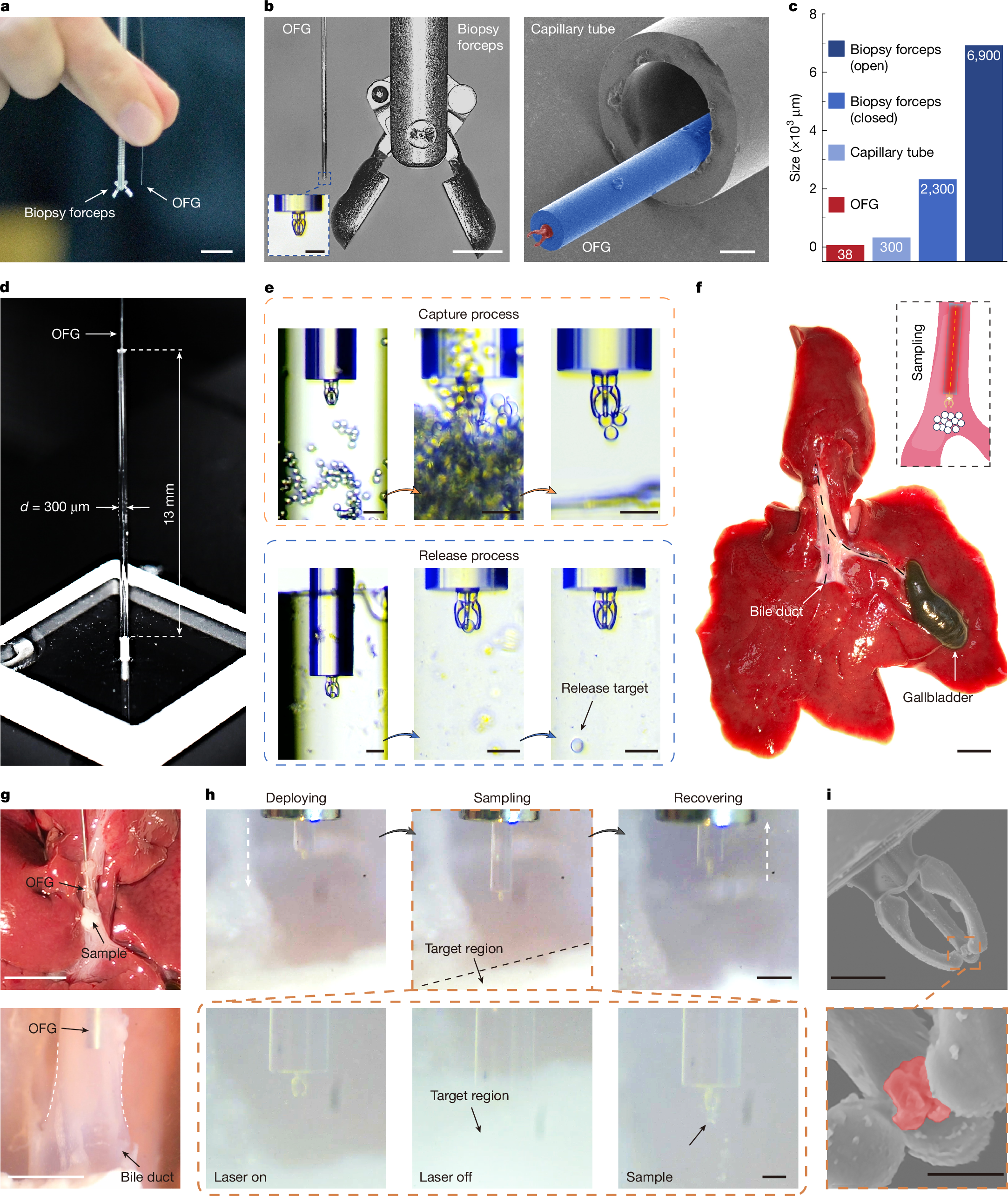 Fig. 5:Sampling in narrow environment with OFG.