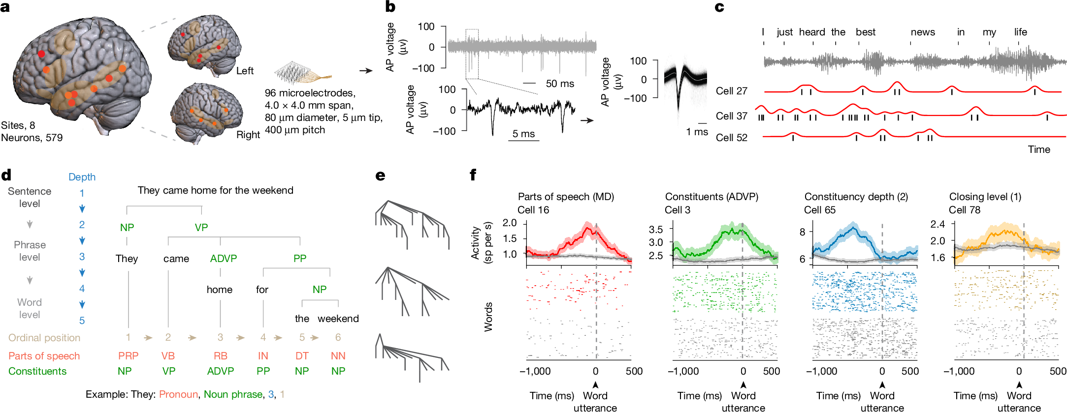 Fig. 1: Tracking linguistic representations by neurons across the human frontotemporal cortex during natural speech.