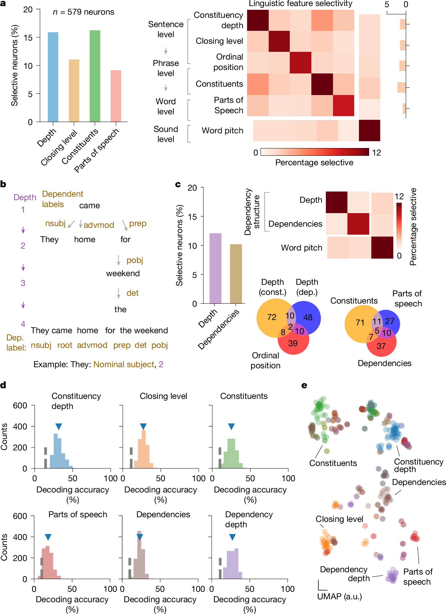 Fig. 2: Selectivity and robustness of linguistic representations at the cellular scale.