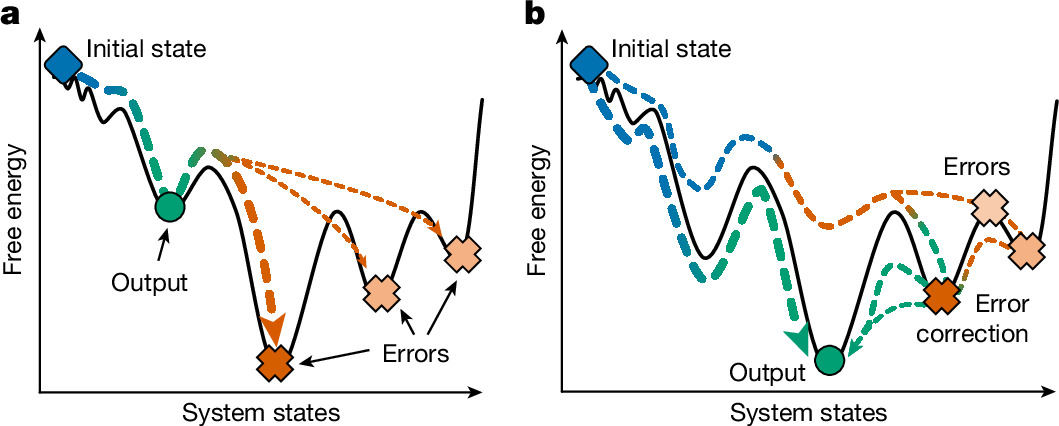 Photograph accompanying A DNA computer reaches its answers by settling into thermodynamic equilibrium