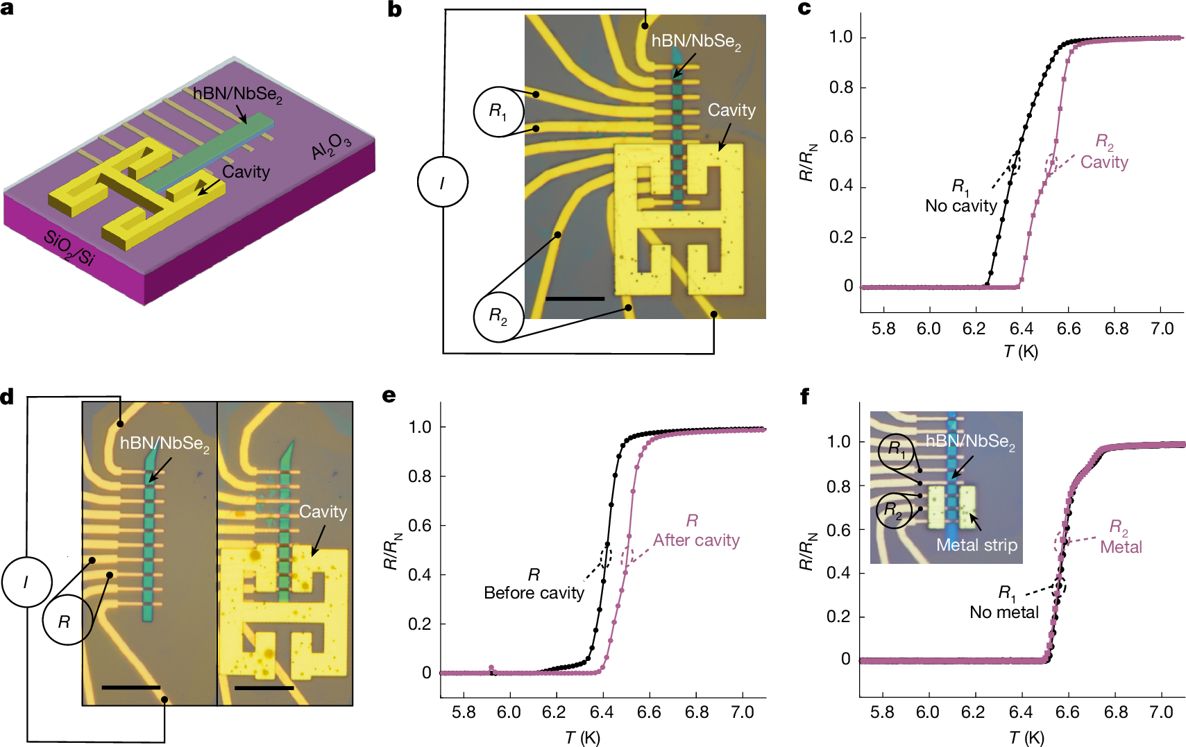 Photograph accompanying Cavity-amplified vacuum fluctuations lift a thin superconductor's transition temperature by up to 5.4%