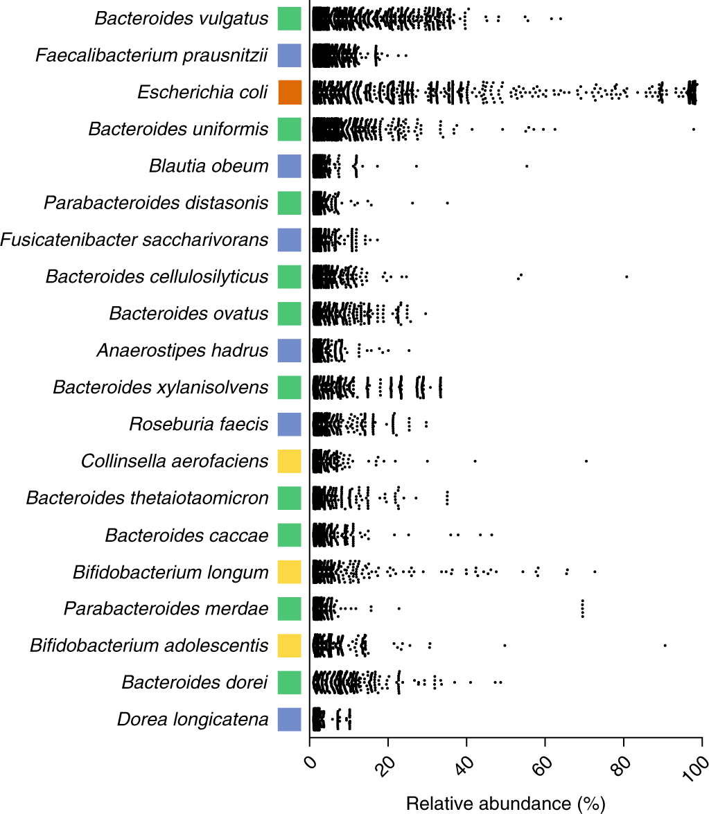 Fig. 4: Dominant bacterial species within the human gastrointestinal microbiota.