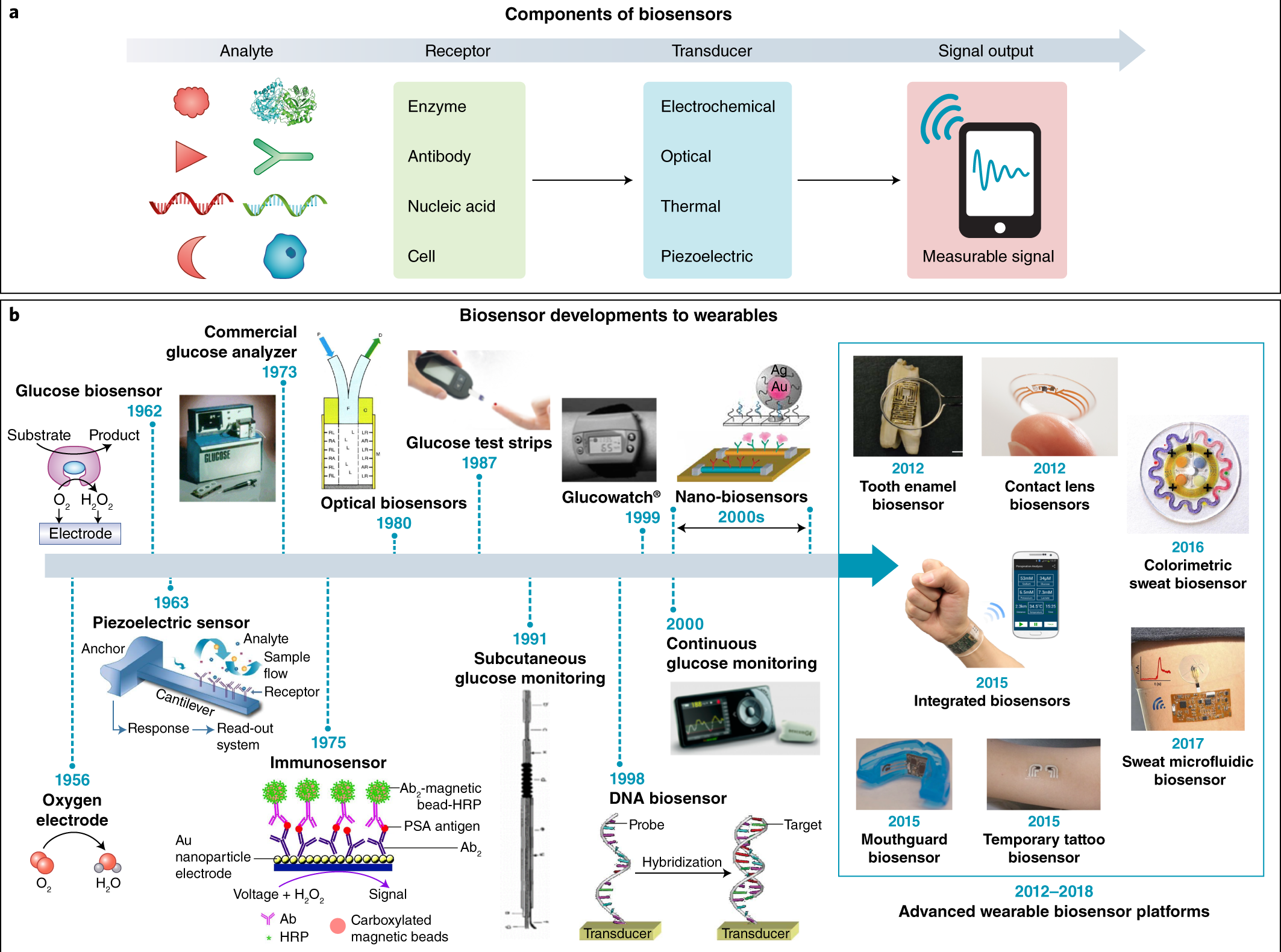 Ydmyge Forbandet kalender Wearable biosensors for healthcare monitoring | Nature Biotechnology