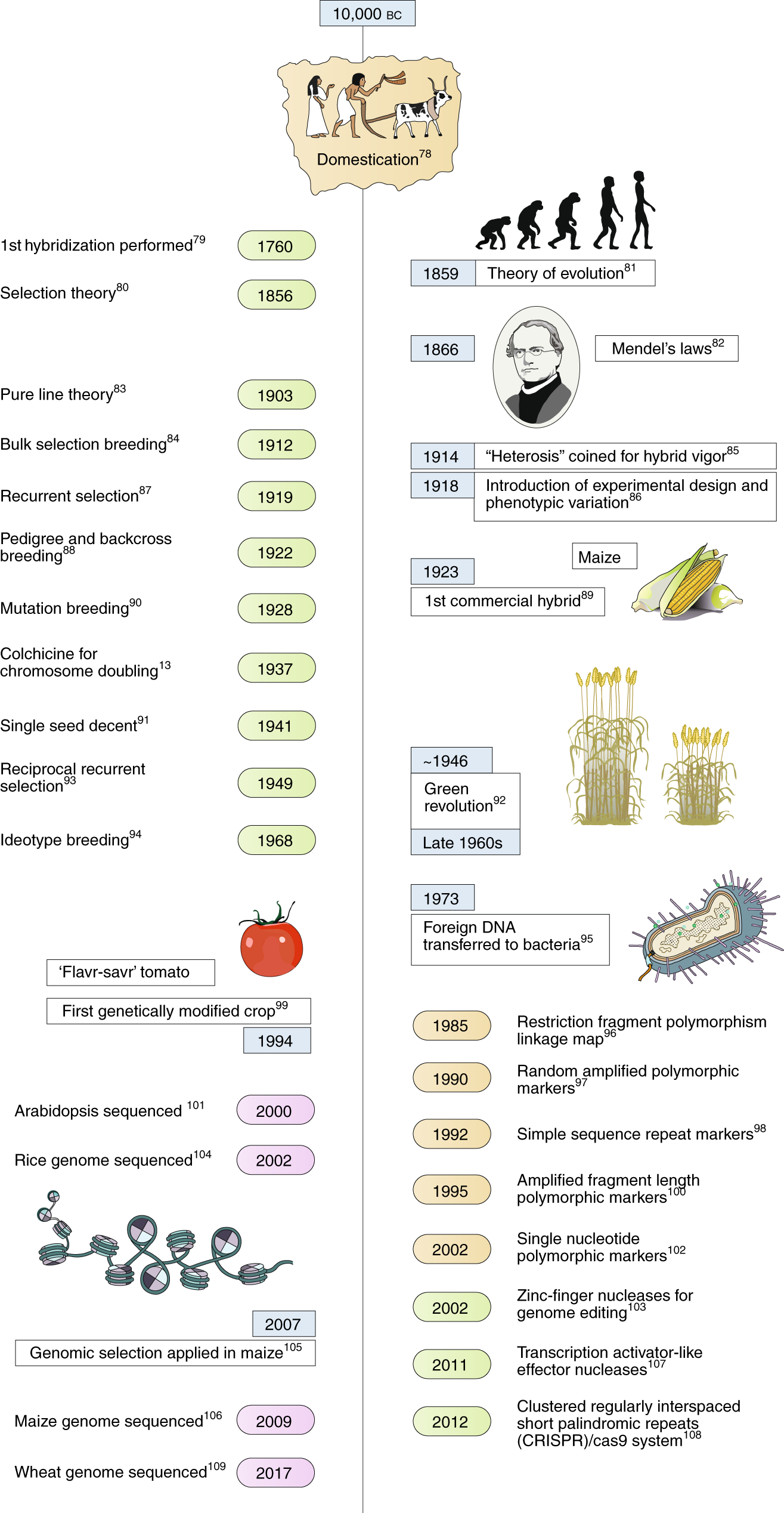 Photosynthesis Plus Feed Chart