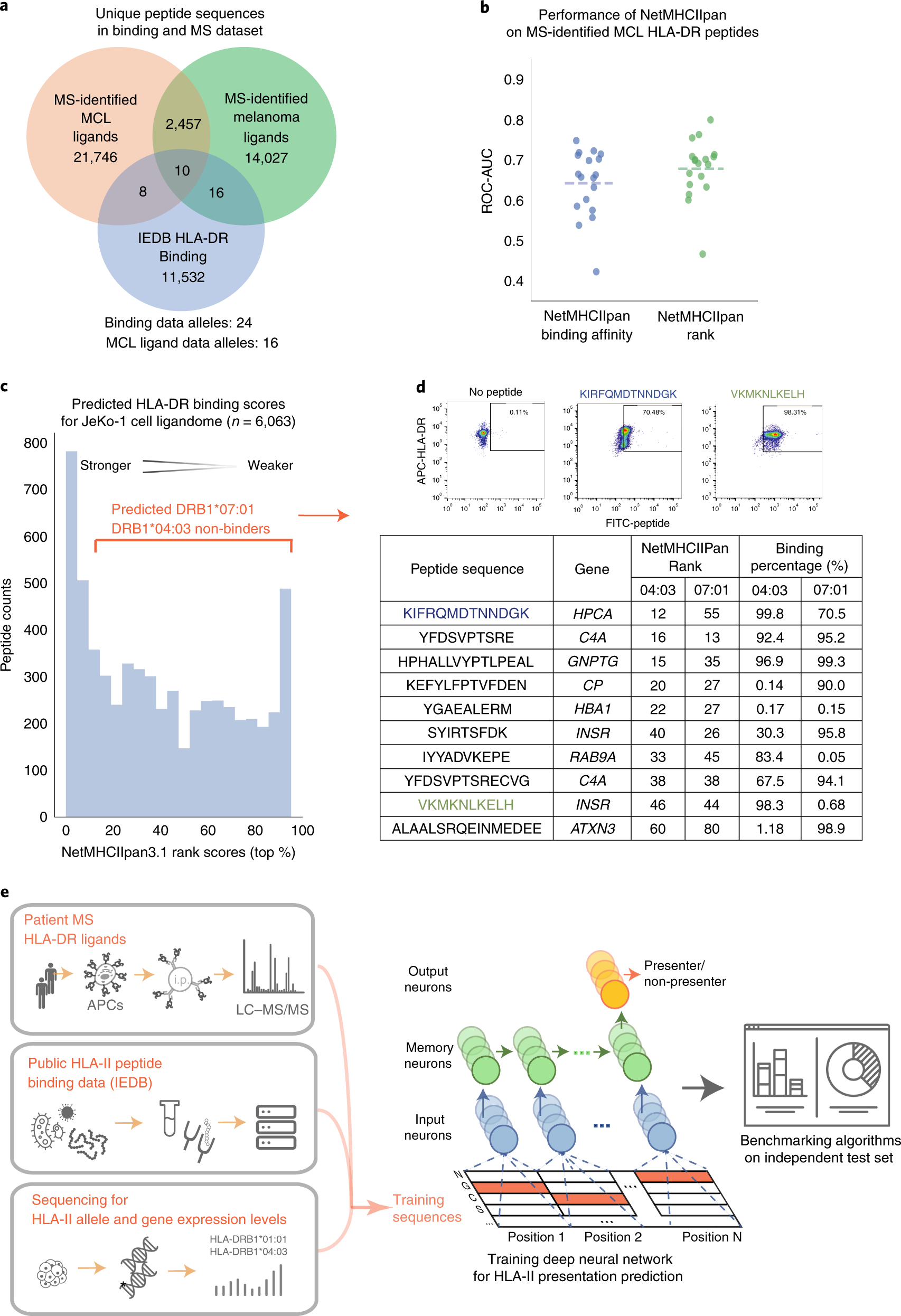 Frontiers  Multiple-Allele MHC Class II Epitope Engineering by a Molecular  Dynamics-Based Evolution Protocol