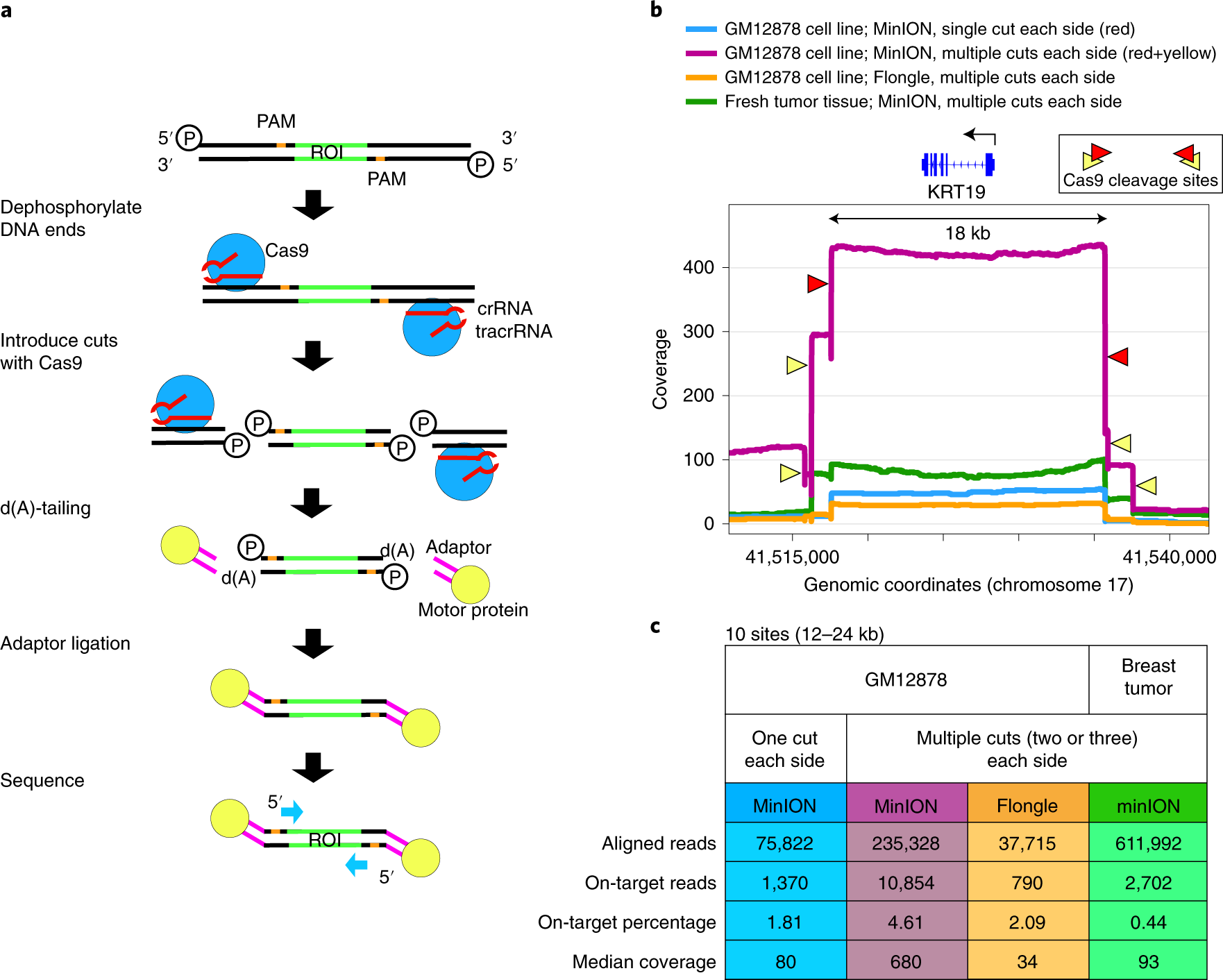 Targeted nanopore sequencing with Cas9-guided adapter ligation | Nature  Biotechnology