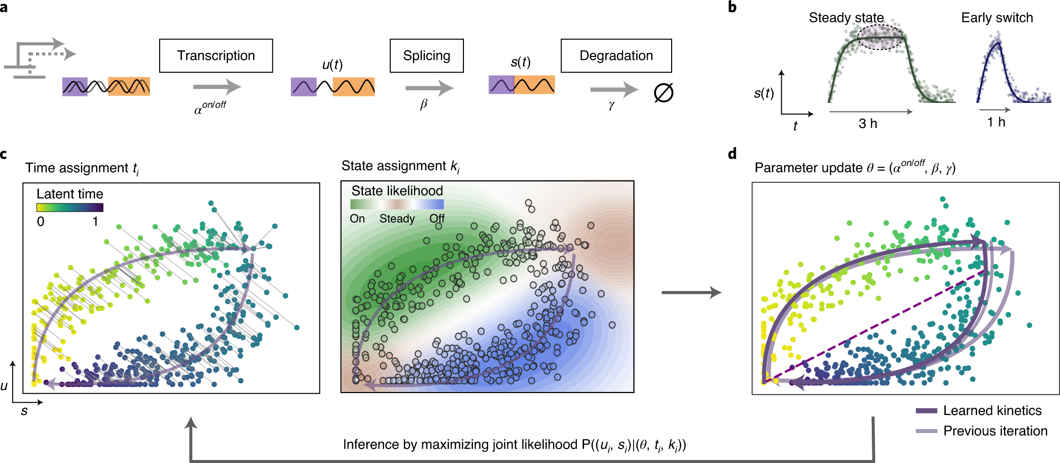 Which Summary Below Correctly Describes What Occurs During Transcription 70+ Pages Summary [1.8mb] - Latest Update 