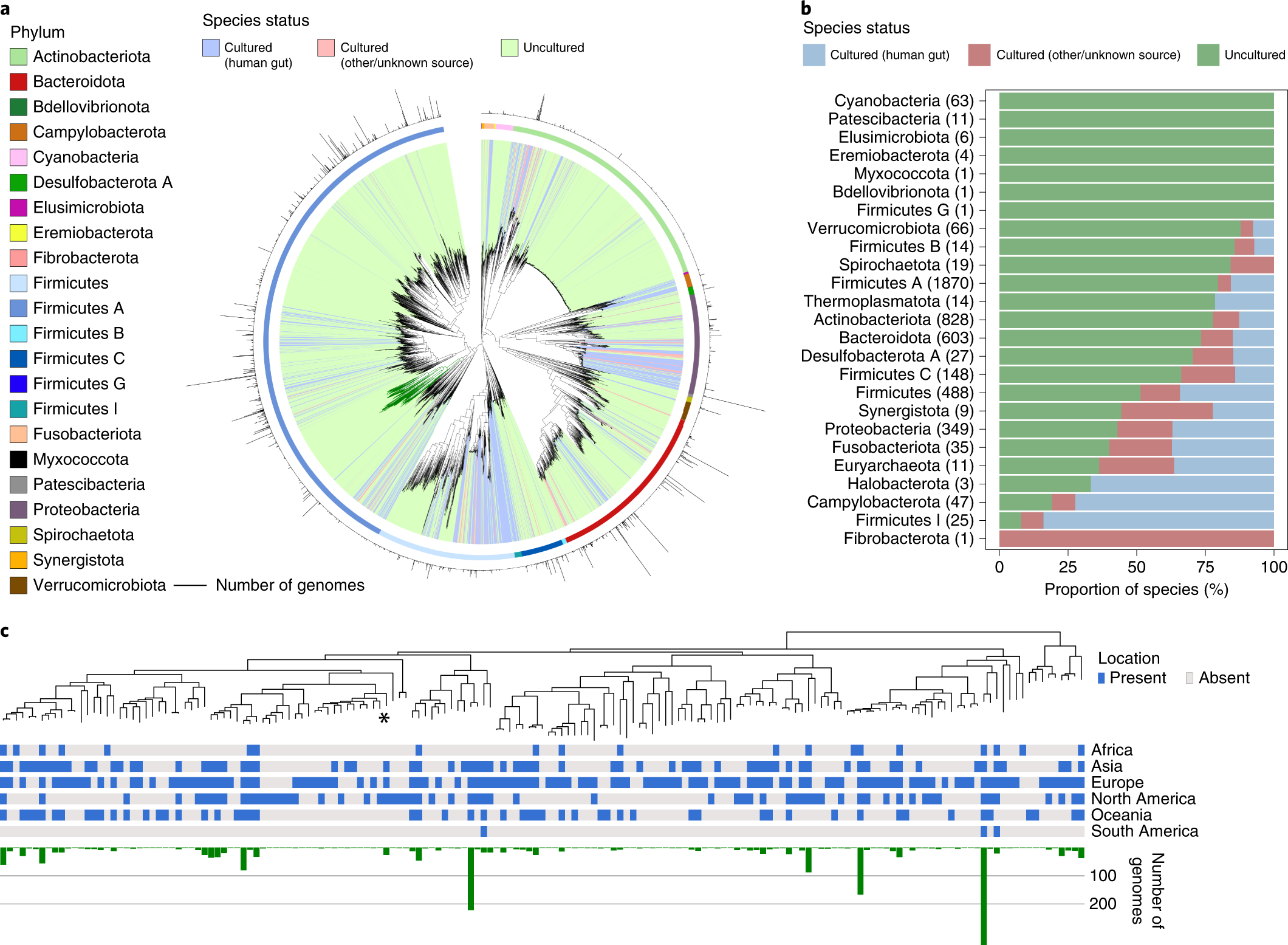 Fig. 3: Uncultured species are predominant among human gut phyla.