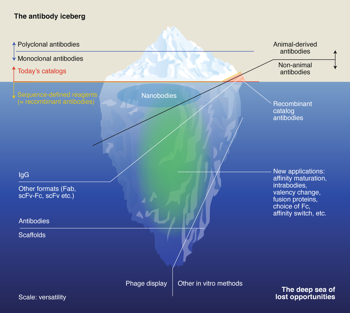 Animal-free alternatives and the antibody iceberg | Nature Biotechnology