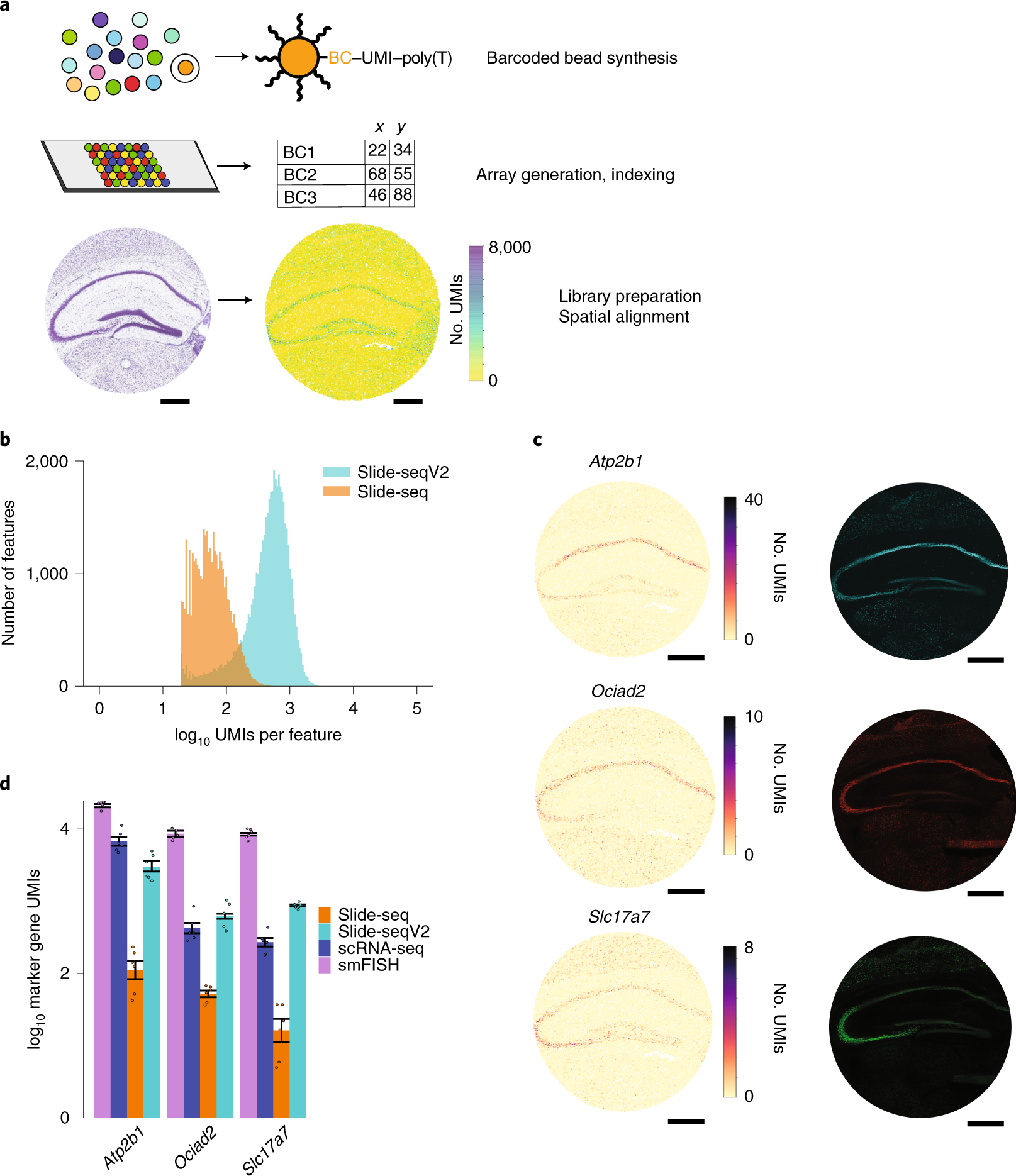 Highly sensitive spatial transcriptomics at near-cellular resolution with  Slide-seqV2 | Nature Biotechnology