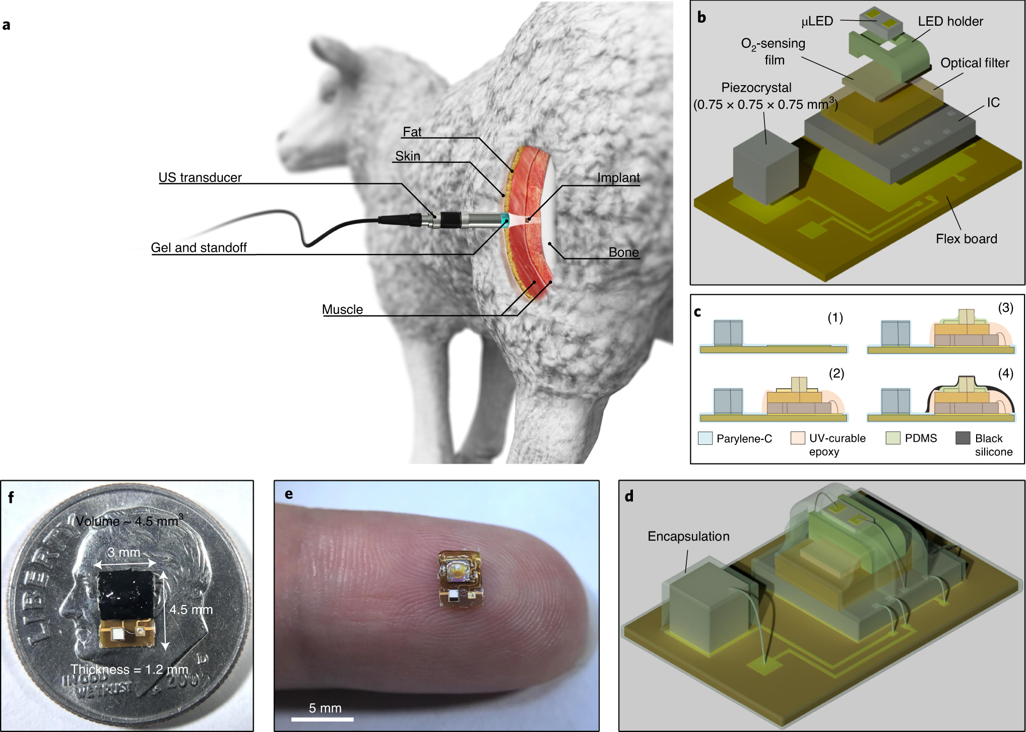 Monitoring deep-tissue oxygenation with a millimeter-scale ultrasonic  implant