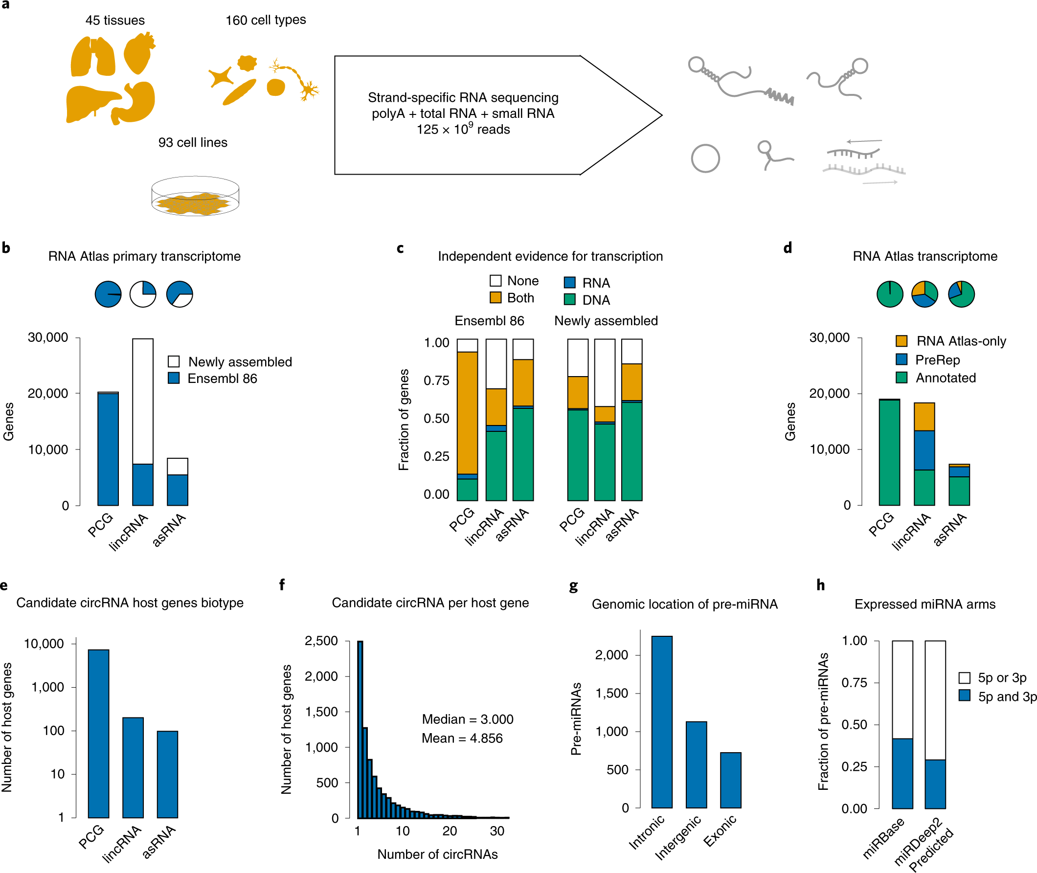 The Rna Atlas Expands The Catalog Of Human Non Coding Rnas Nature Biotechnology