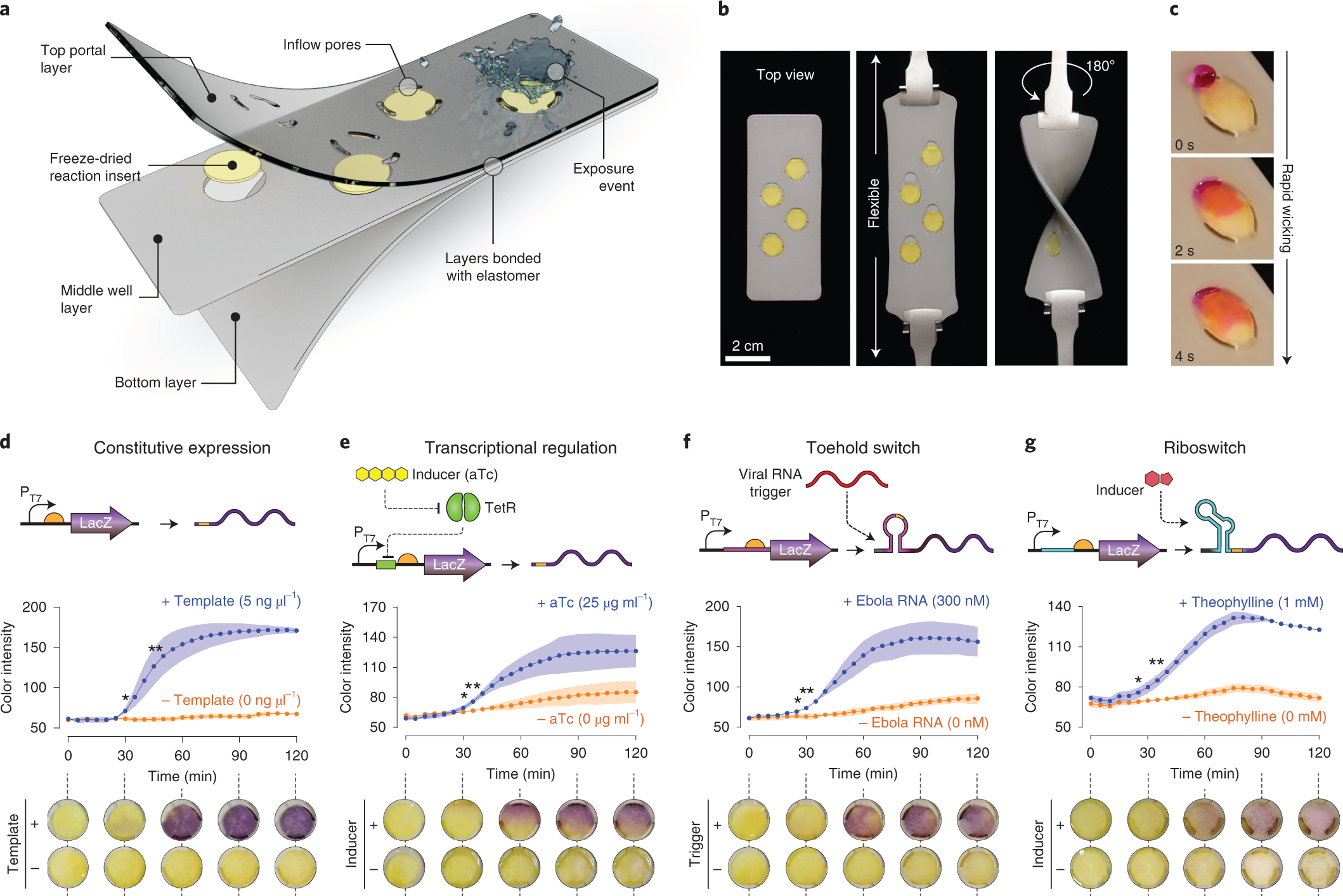 Wearable materials with embedded synthetic biology sensors for biomolecule  detection | Nature Biotechnology