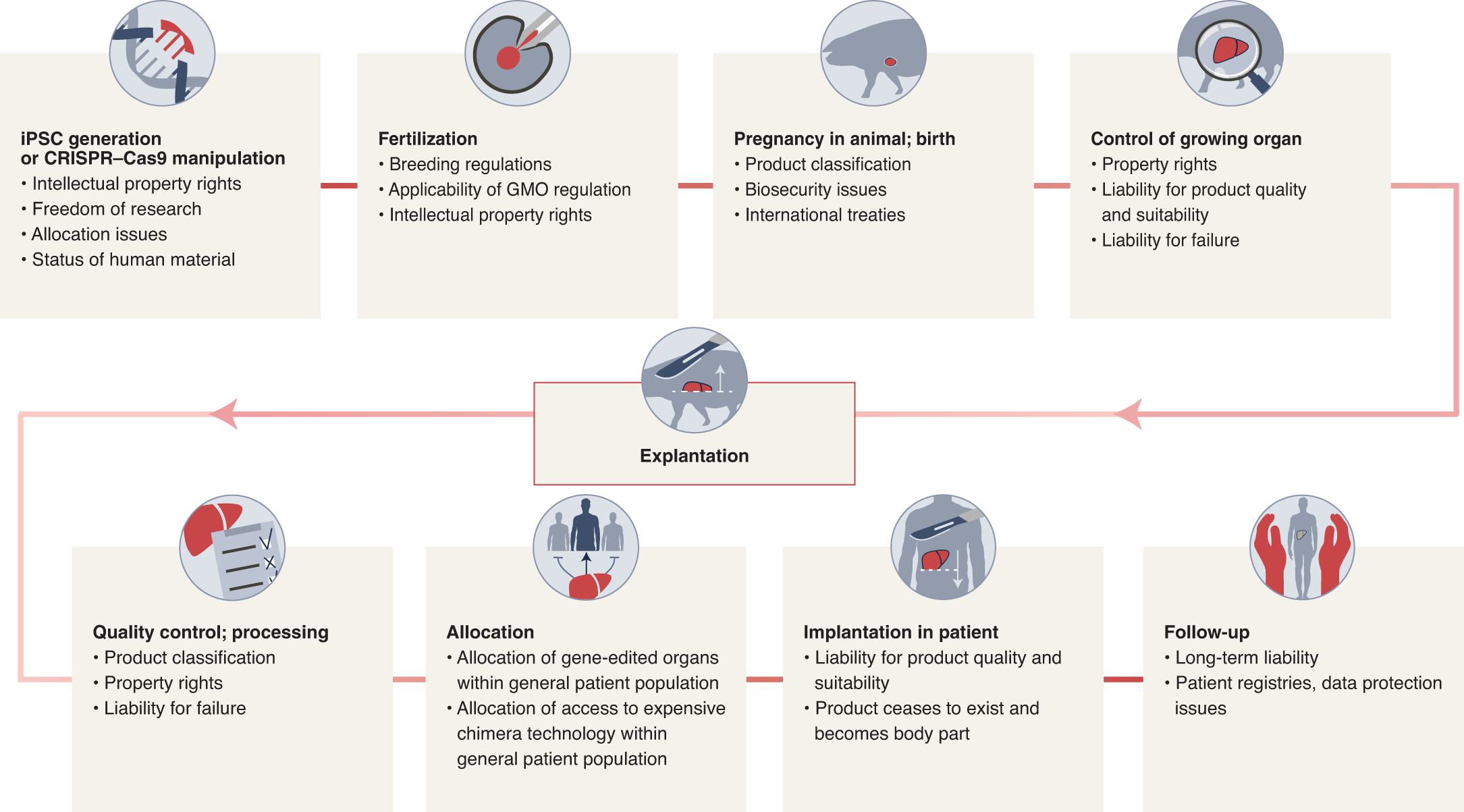 Regulatory and intellectual property conundrums surrounding xenotransplantation | Nature Biotechnology Regulatory and intellectual property conundrums surrounding xenotransplantation | Nature Biotechnology