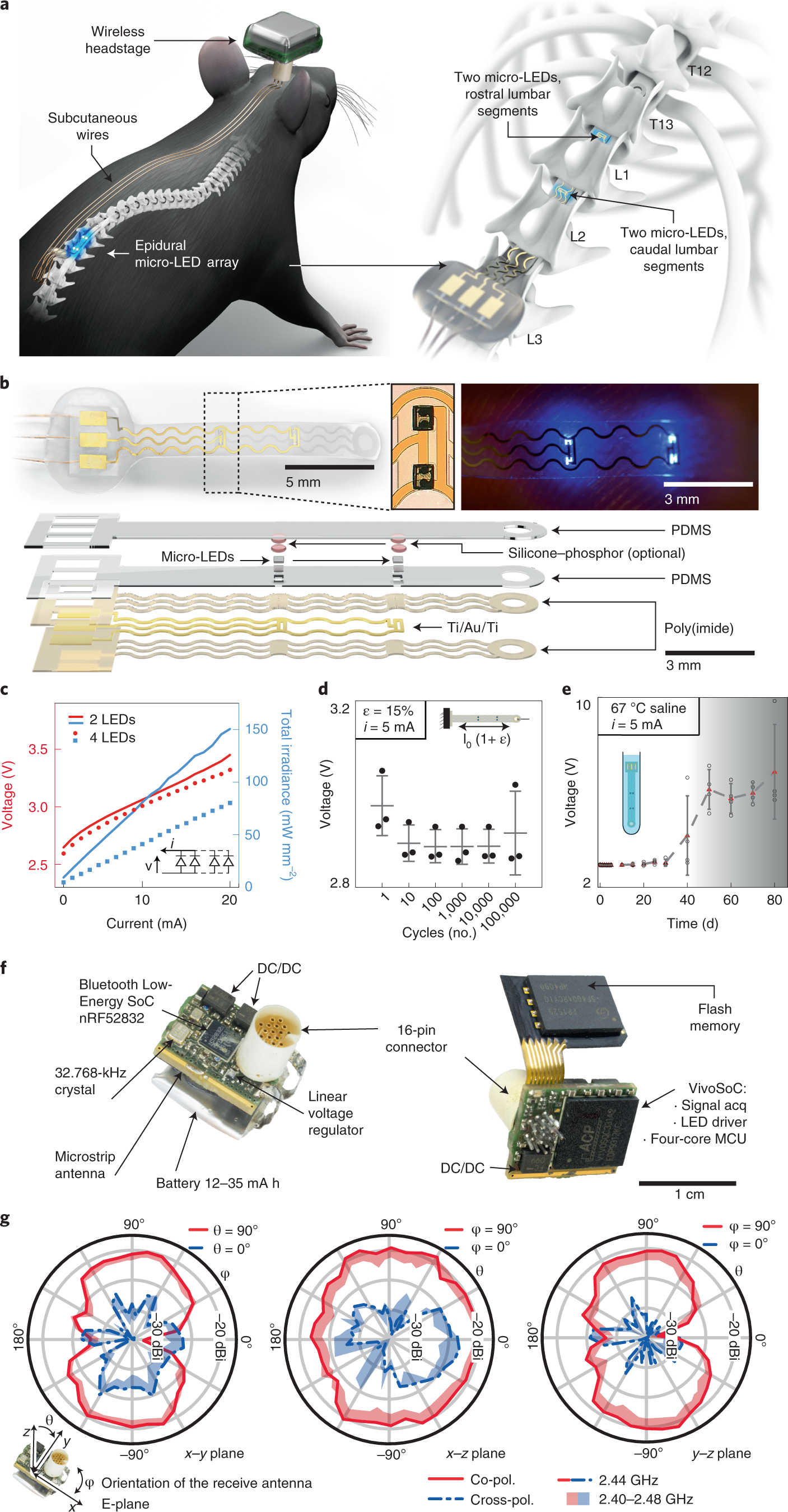 Wireless closed-loop optogenetics across the entire dorsoventral