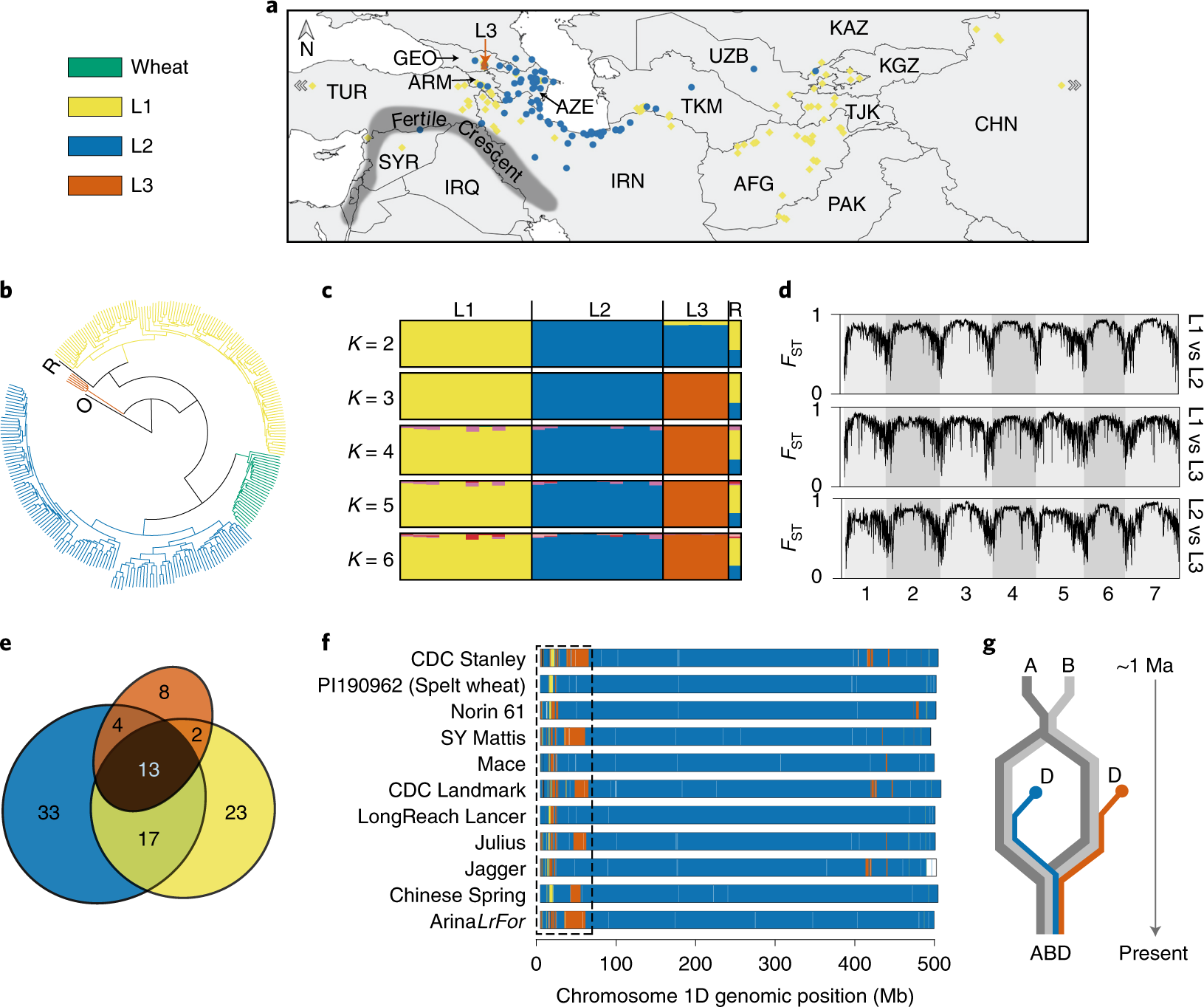 Population genomic analysis of Aegilops tauschii identifies targets for  bread wheat improvement | Nature Biotechnology