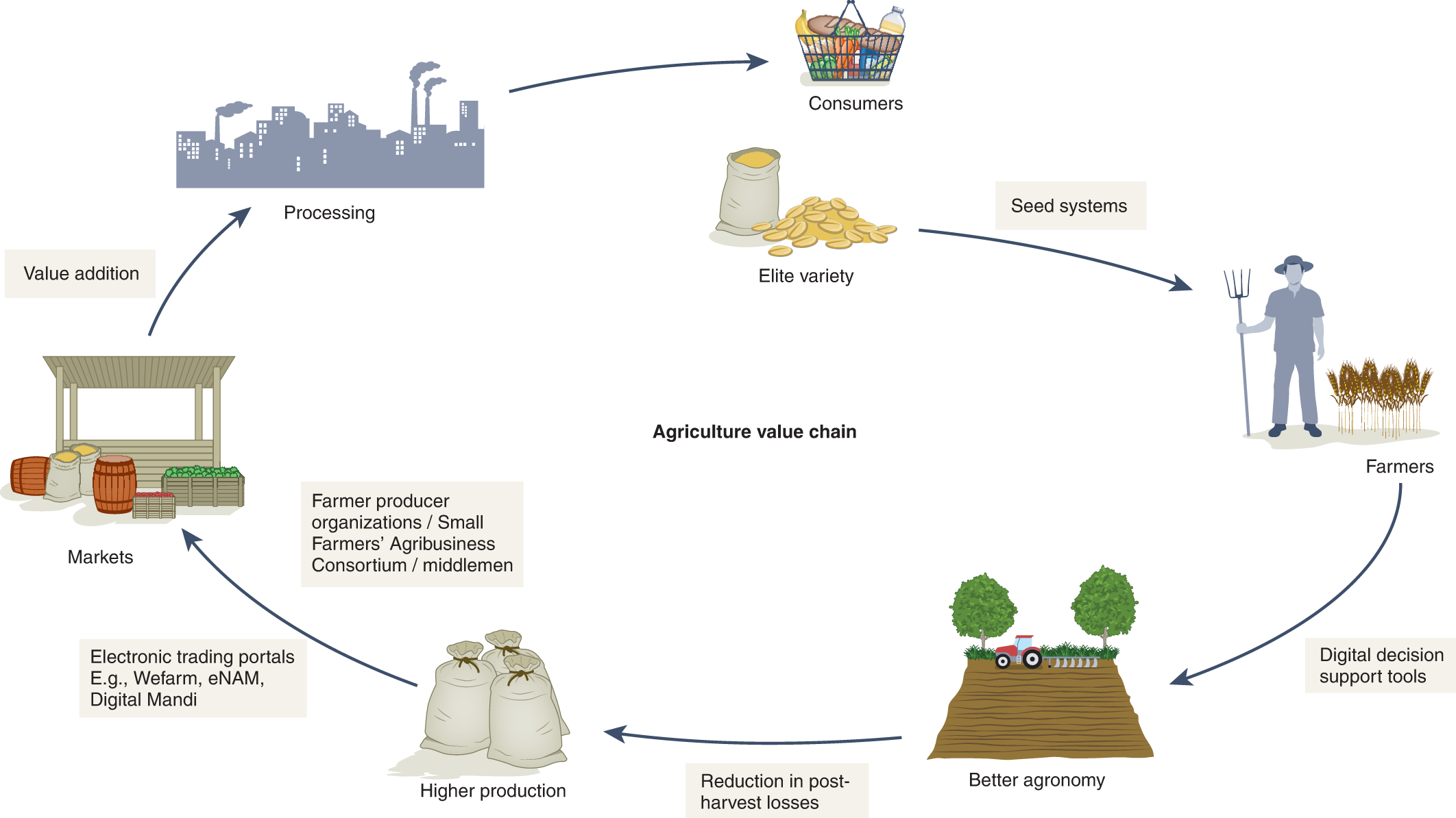 How farming in the Mississippi Delta can save America's food supply chain -  WTOP News