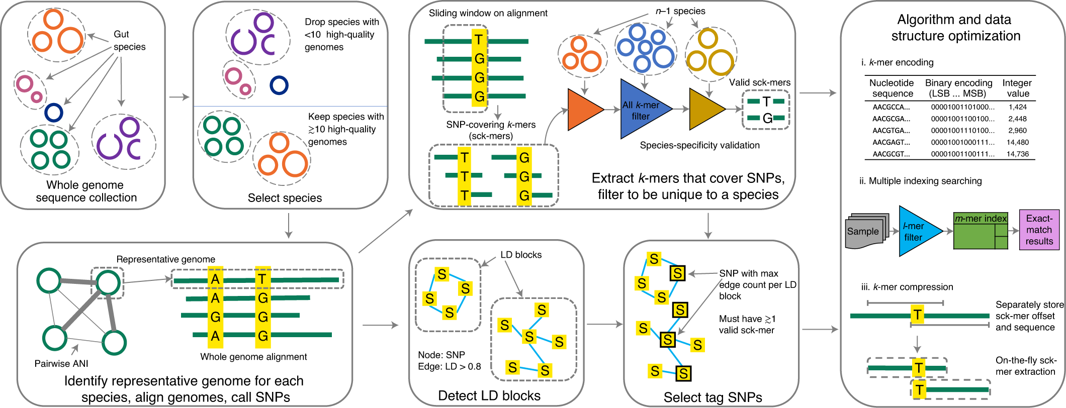Fast And Accurate Metagenotyping Of The Human Gut Microbiome With Gt Pro Nature Biotechnology