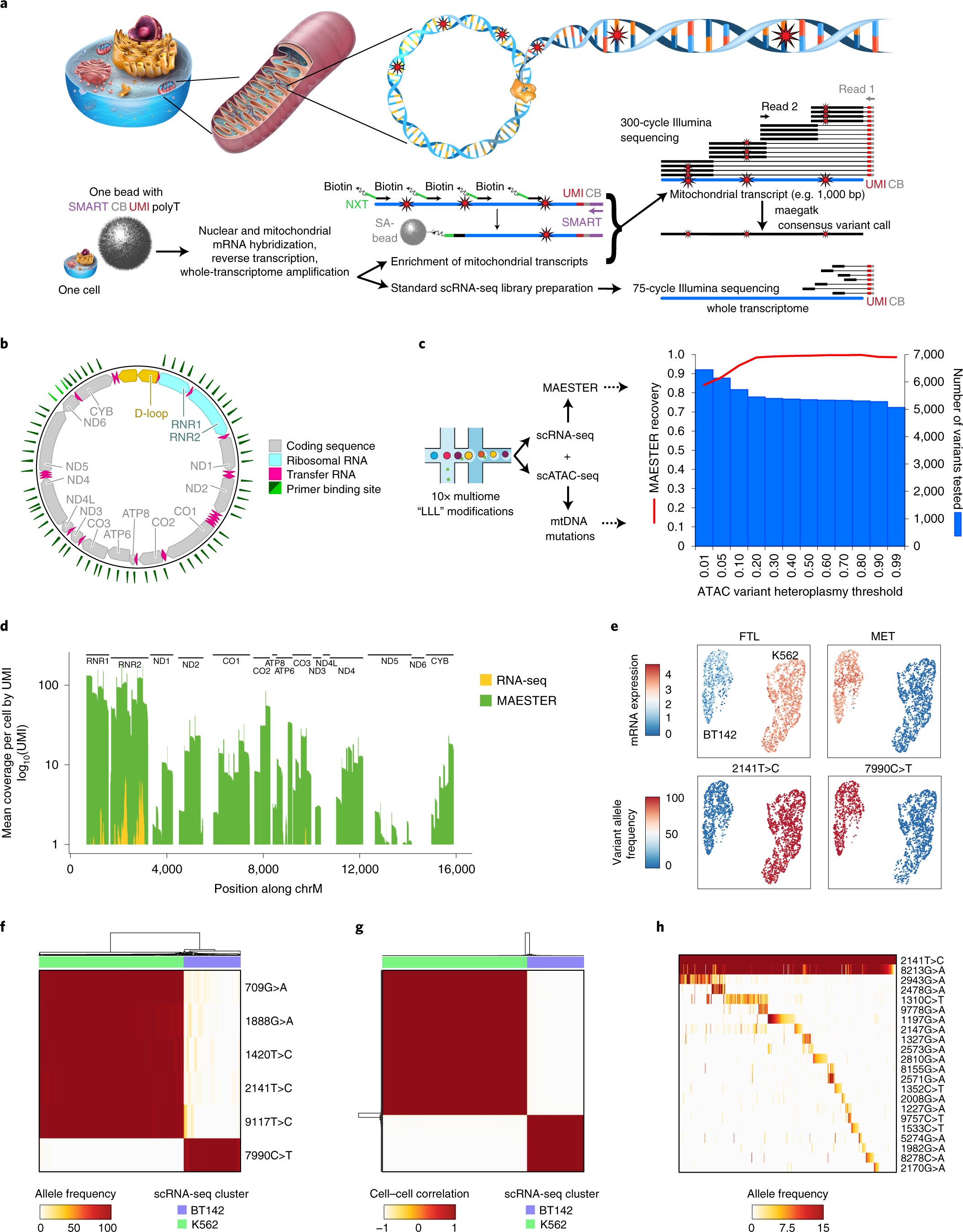 HiFiBiO: High Fidelity Biology