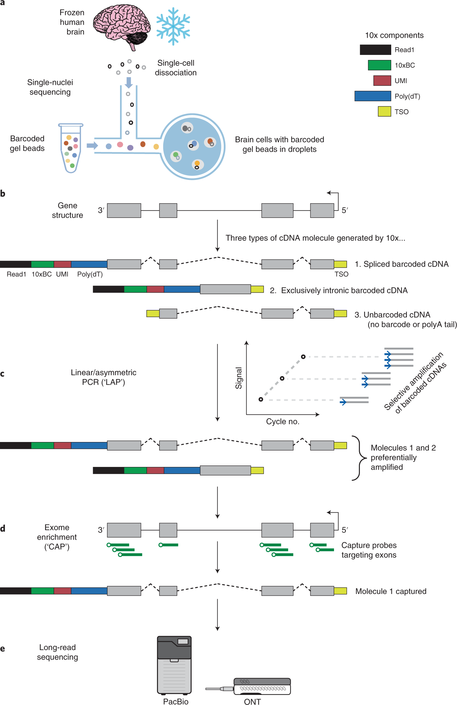 Uncovering viral RNA–host cell interactions on a proteome-wide scale:  Trends in Biochemical Sciences